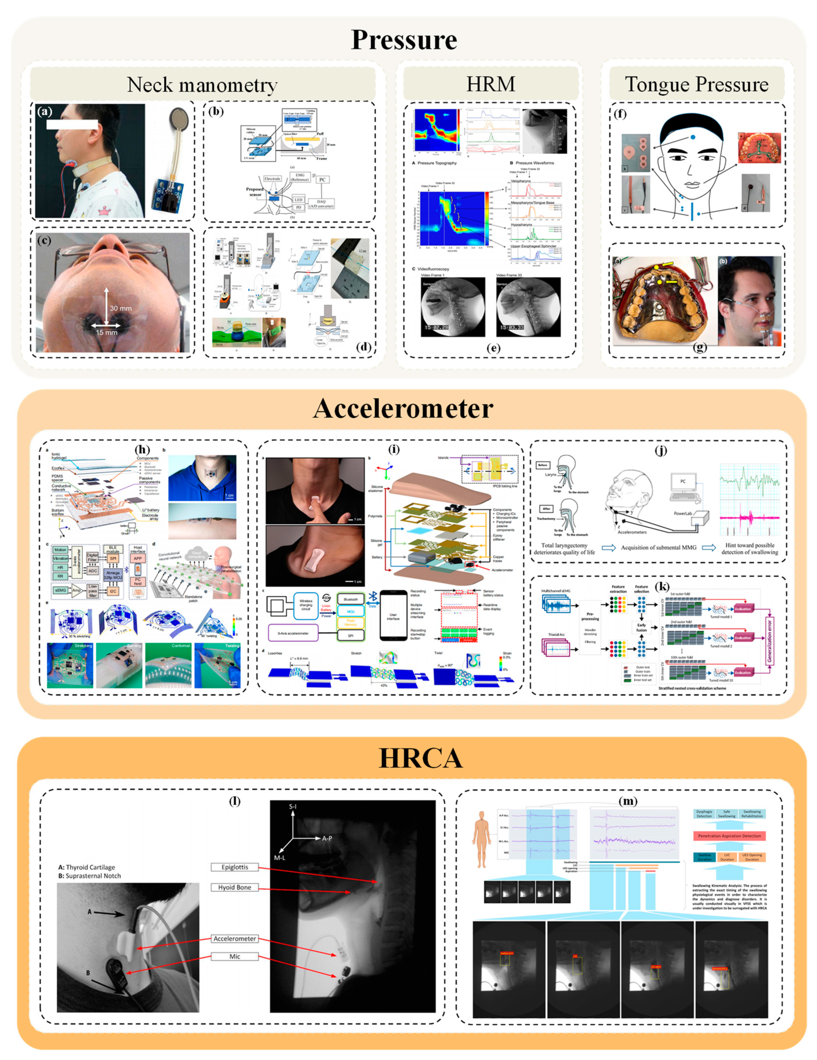 Bioengineering 11 00430 g005