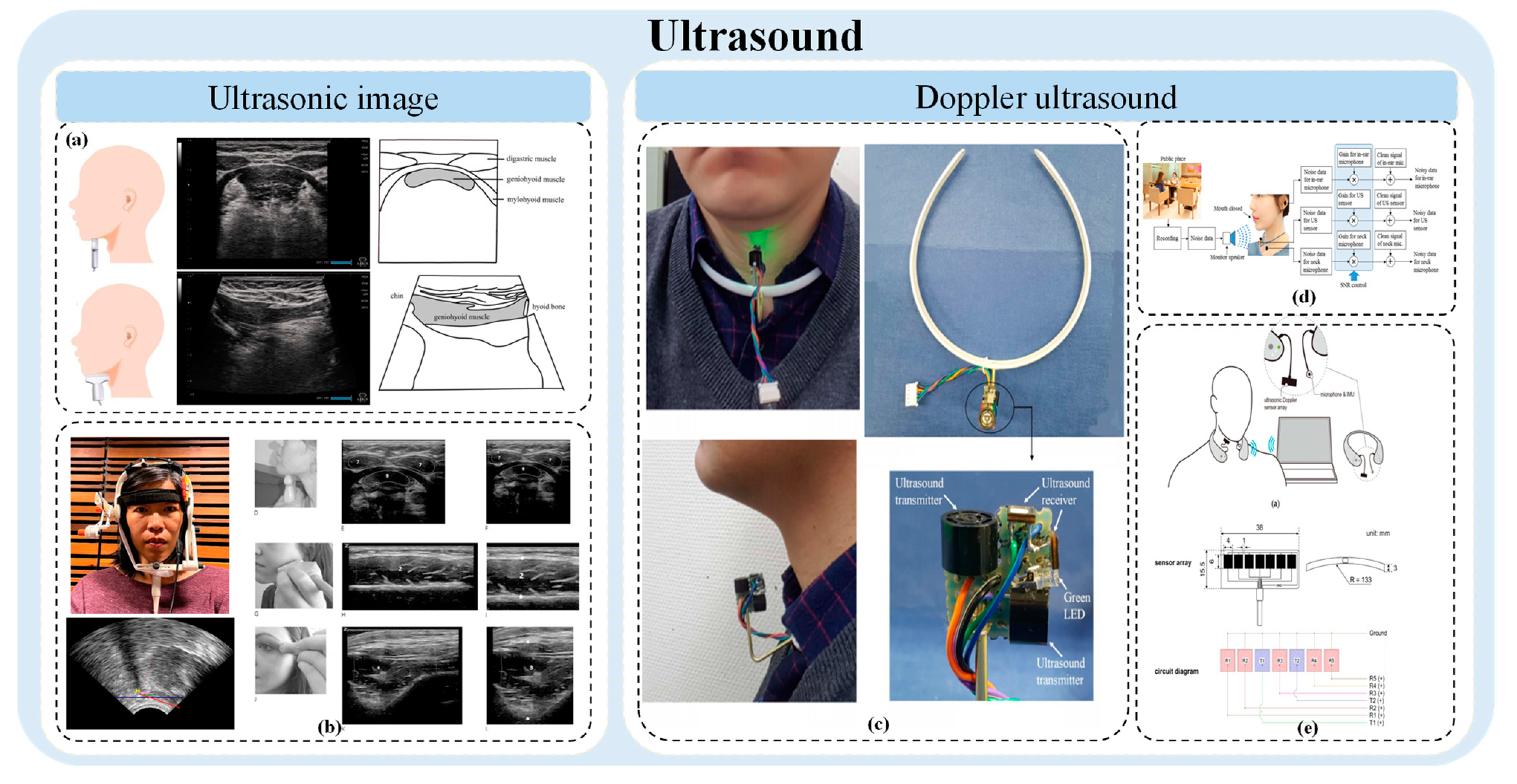 Bioengineering 11 00430 g006