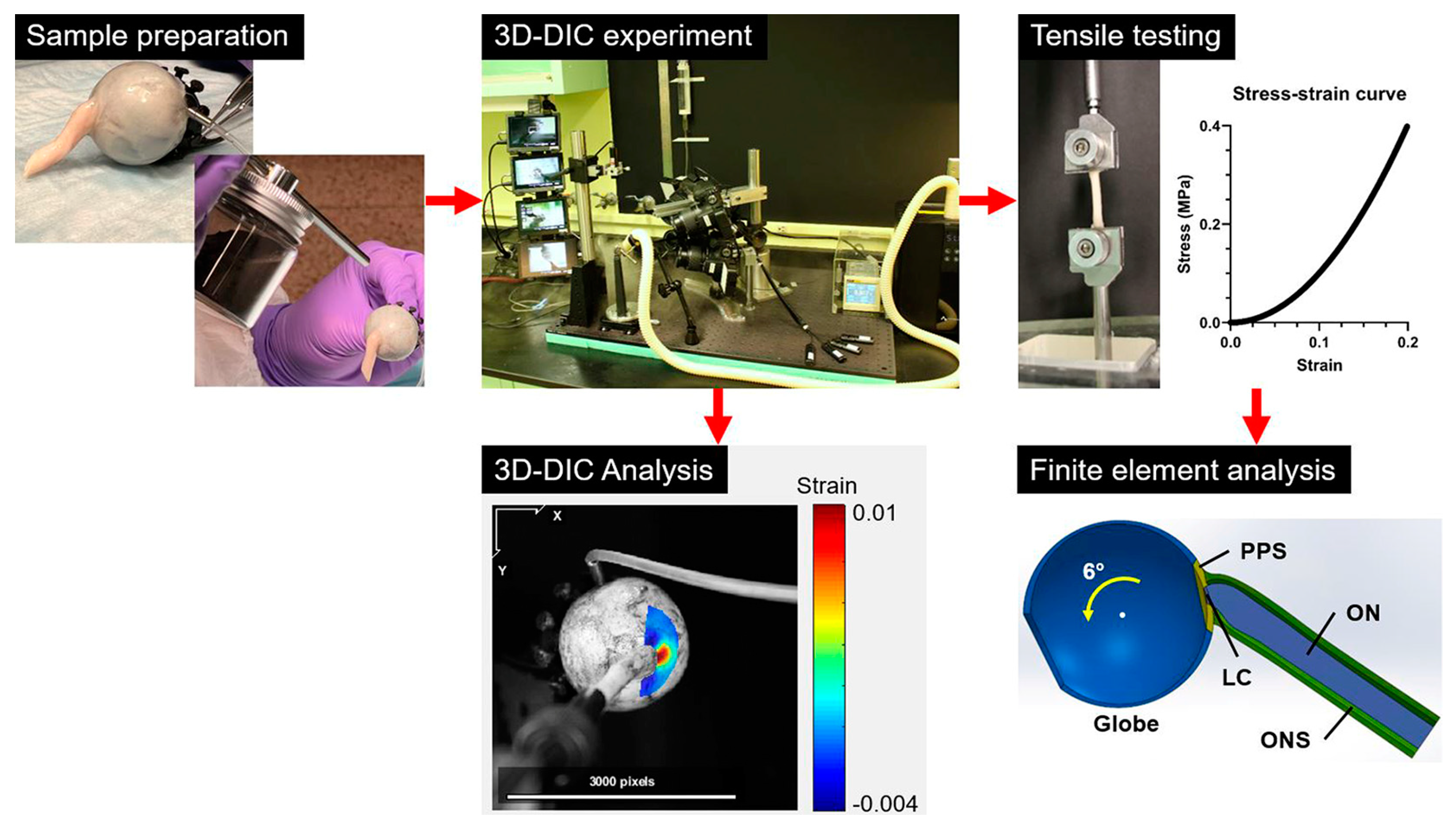 Bioengineering 11 00452 g001