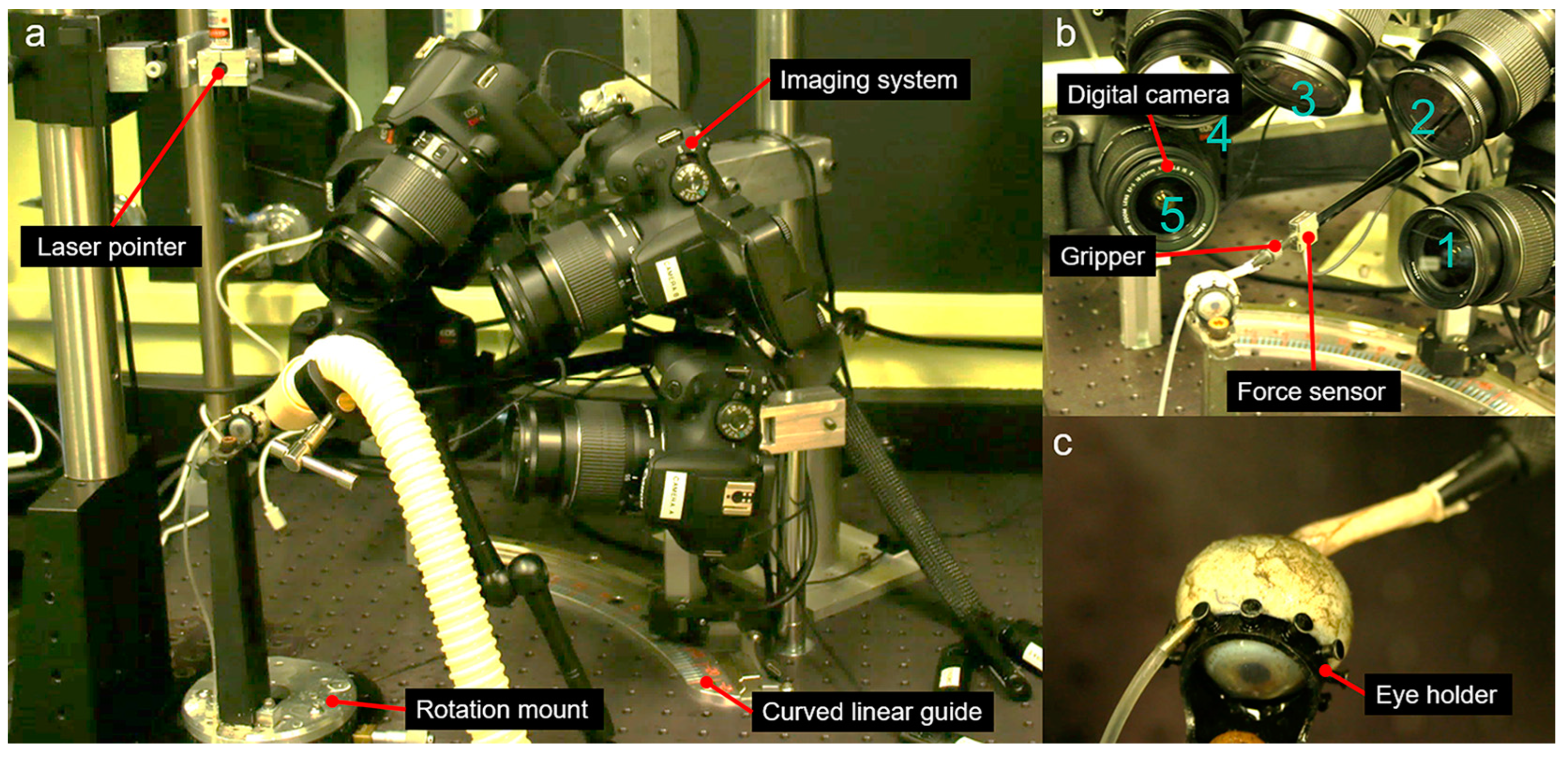 Bioengineering 11 00452 g003