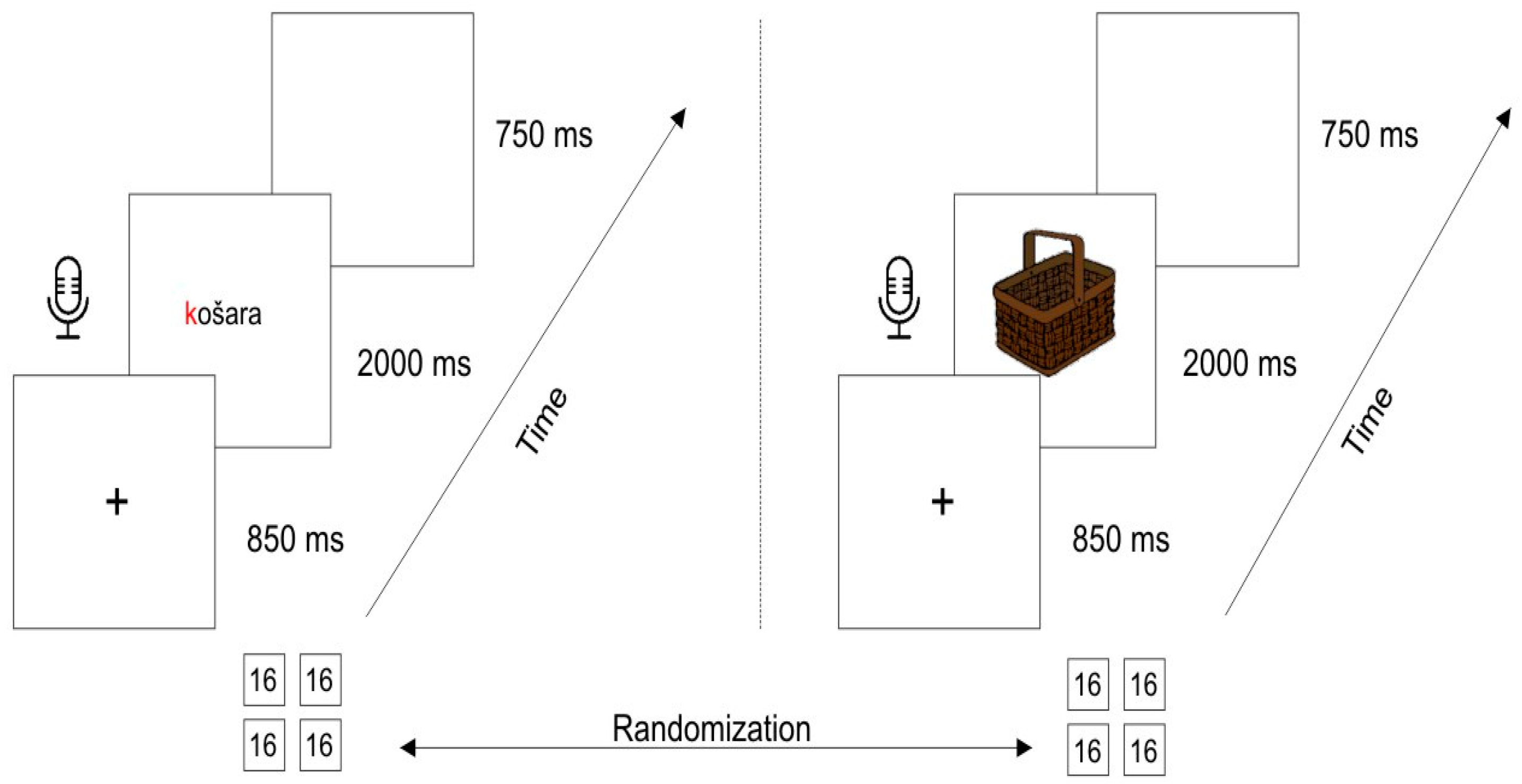 Bioengineering 11 00459 g001 Bioengineering 11 00459 g001