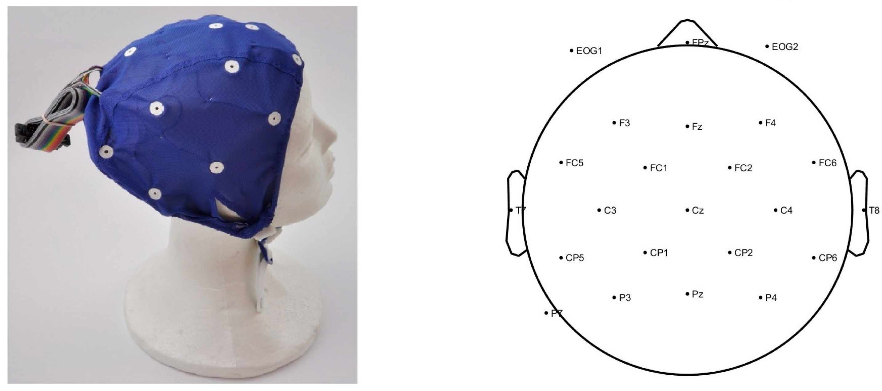 Bioengineering 11 00459 g002 Bioengineering 11 00459 g002