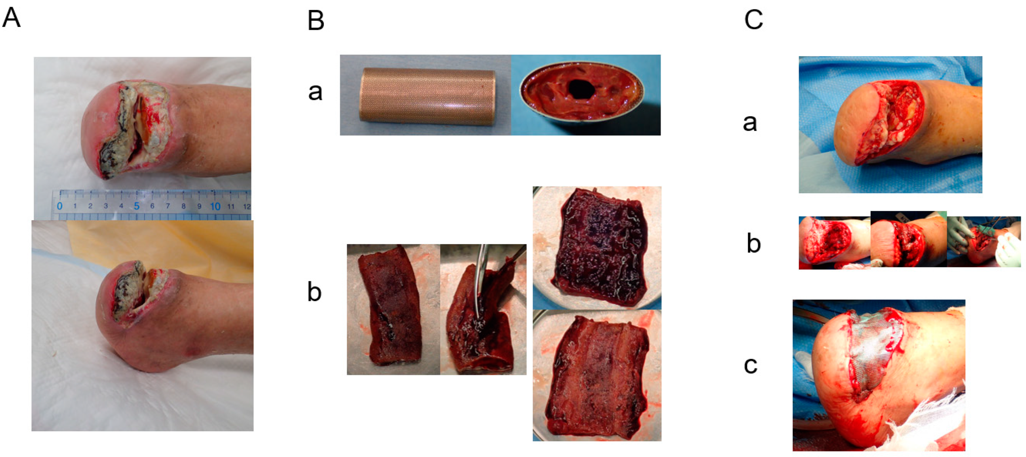Bioengineering 11 00462 g005 Bioengineering 11 00462 g005
