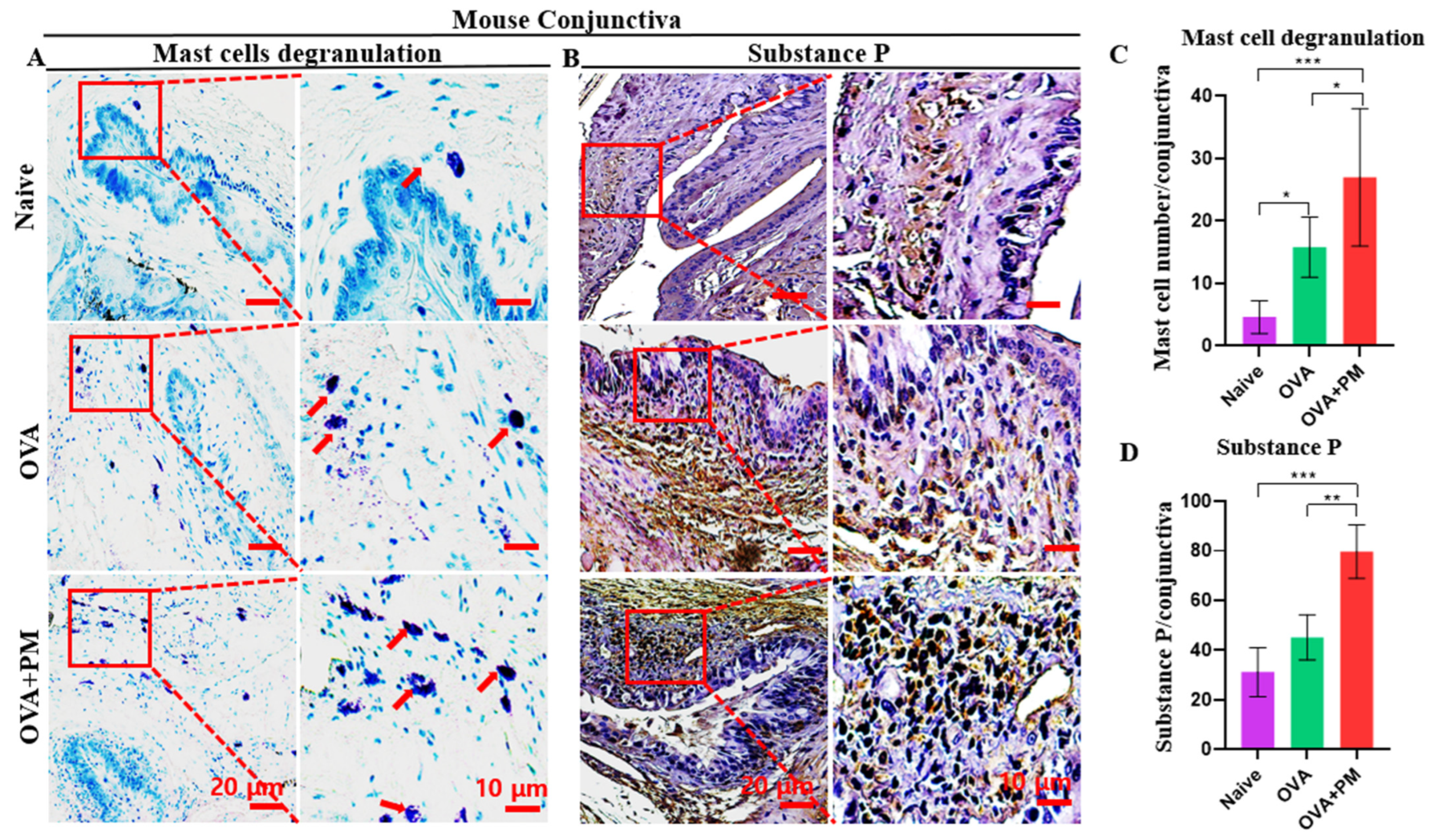 Bioengineering 11 00498 g003