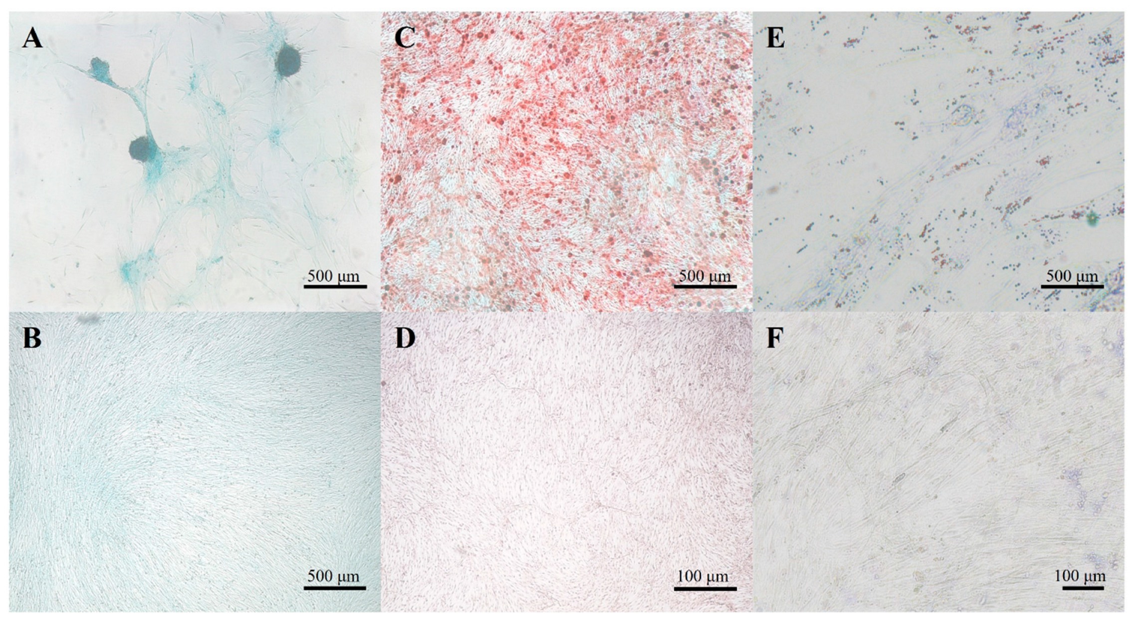 Bioengineering 11 00513 g003