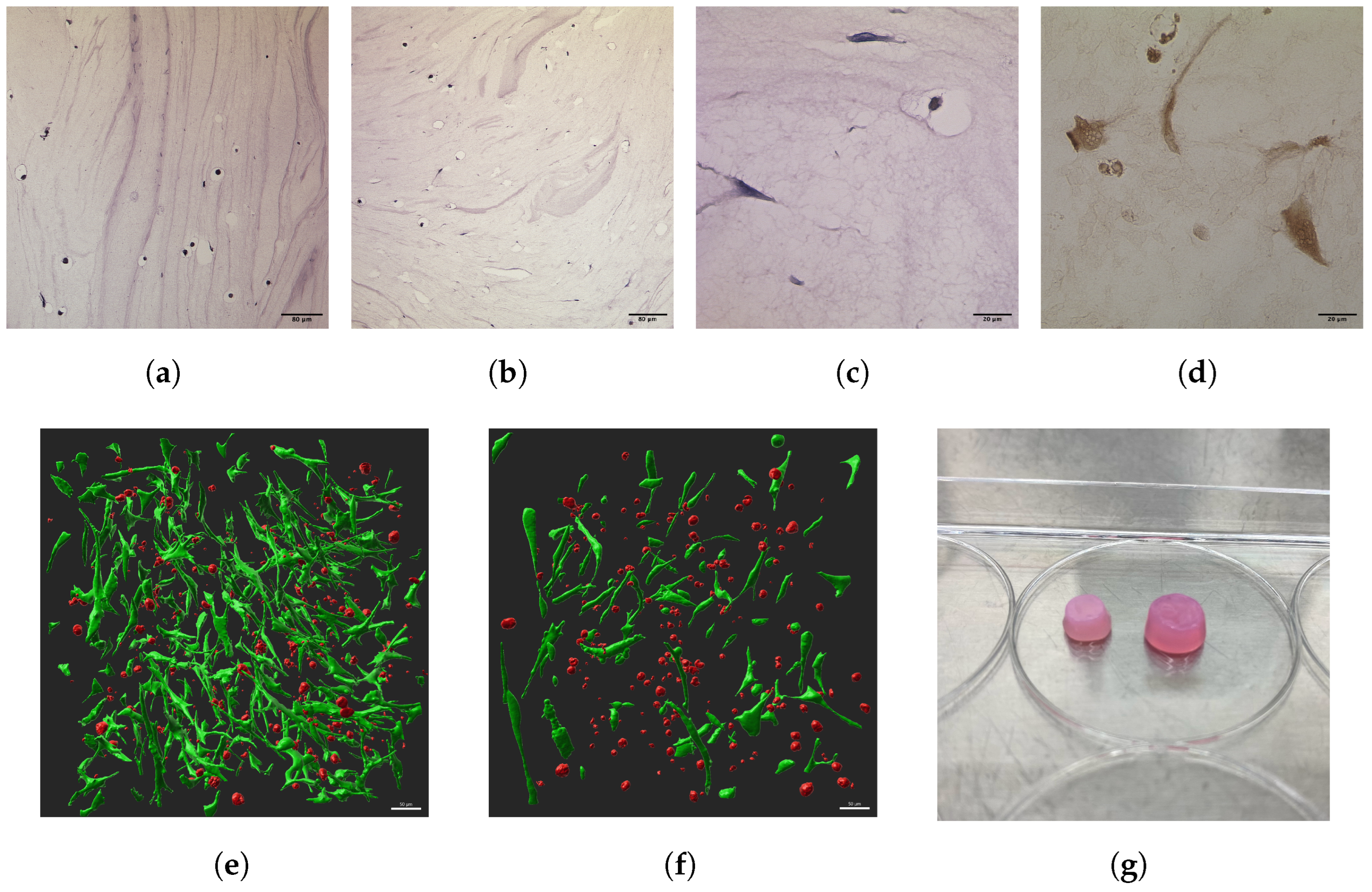 Bioengineering 11 00527 g003