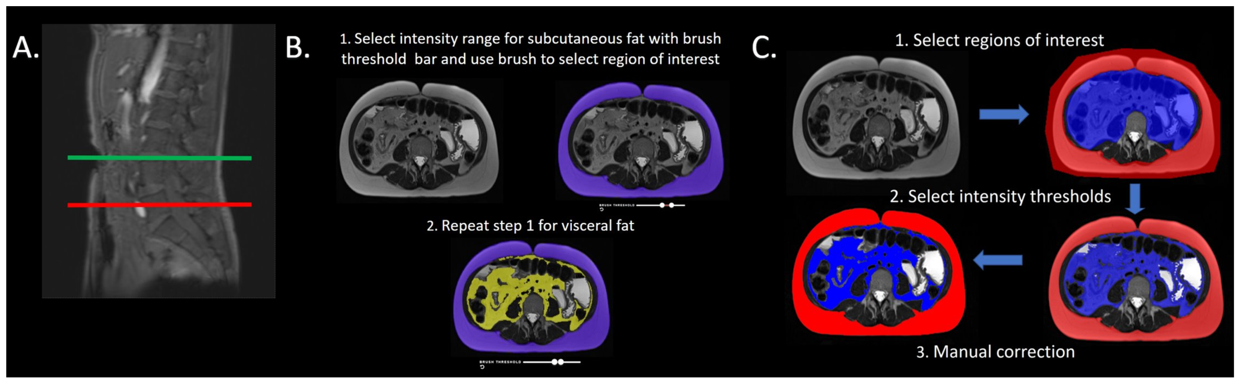 Bioengineering 11 00528 g001