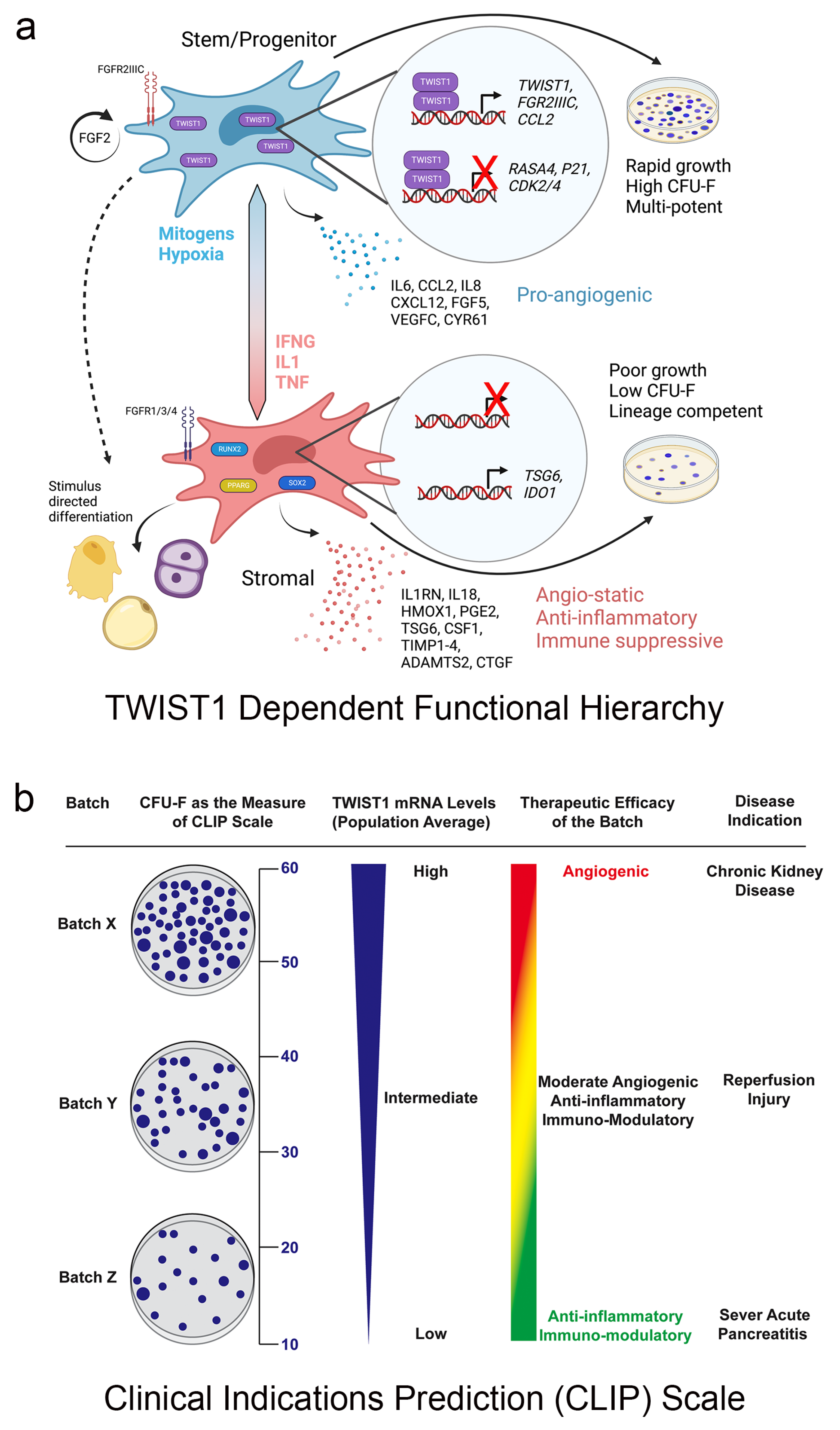 Bioengineering 11 00534 g003