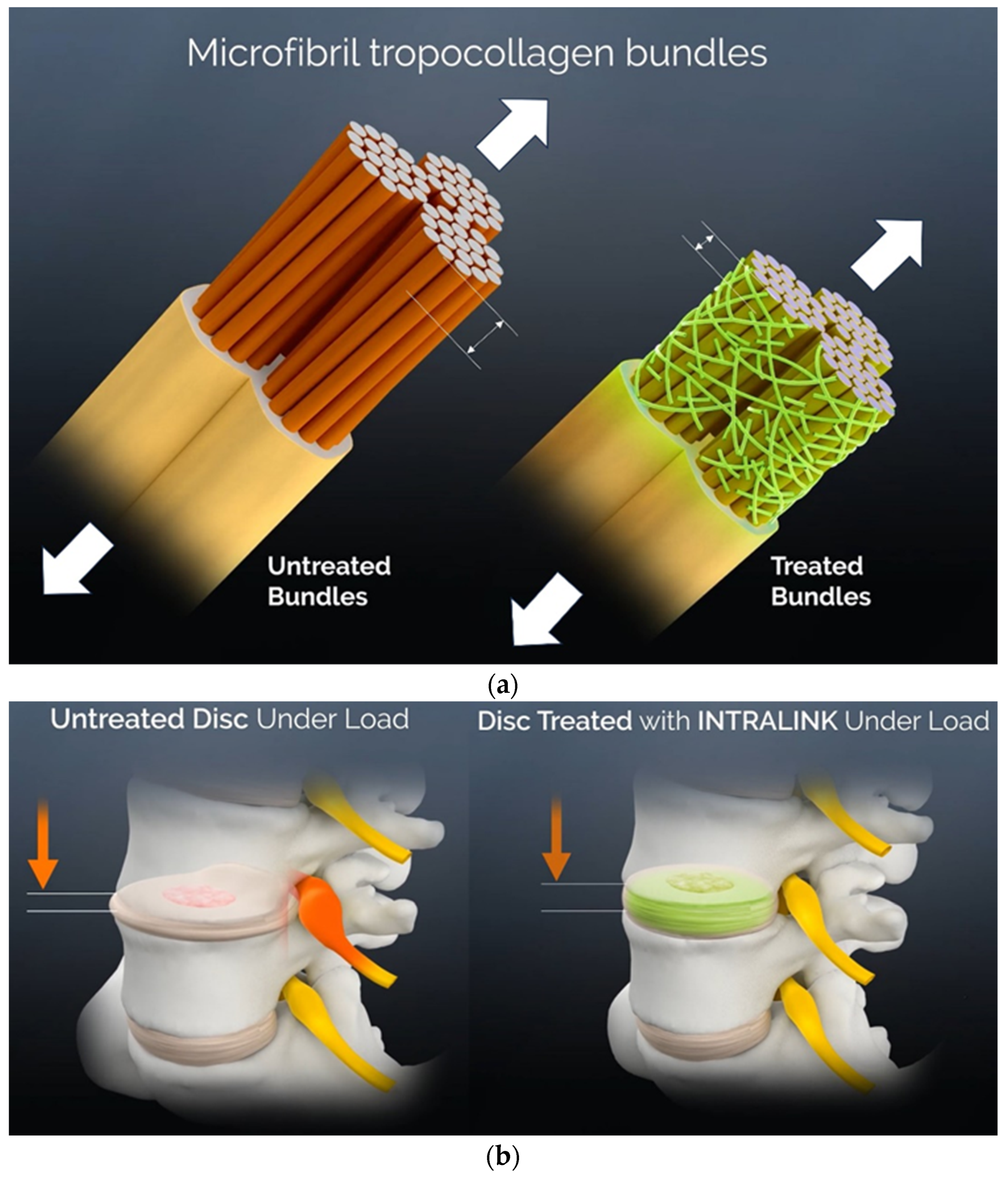 Bioengineering 11 00535 g001
