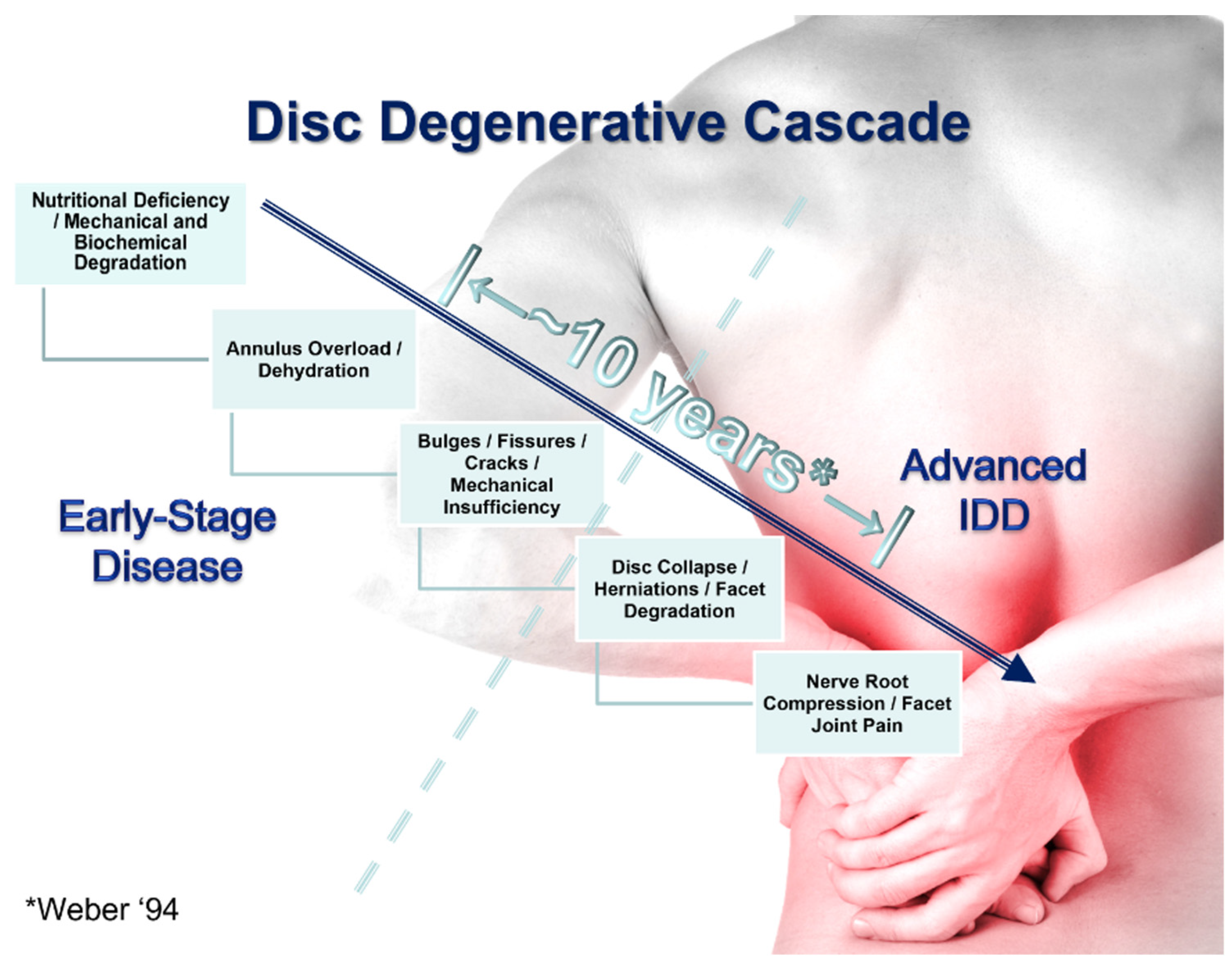 Bioengineering 11 00535 g002
