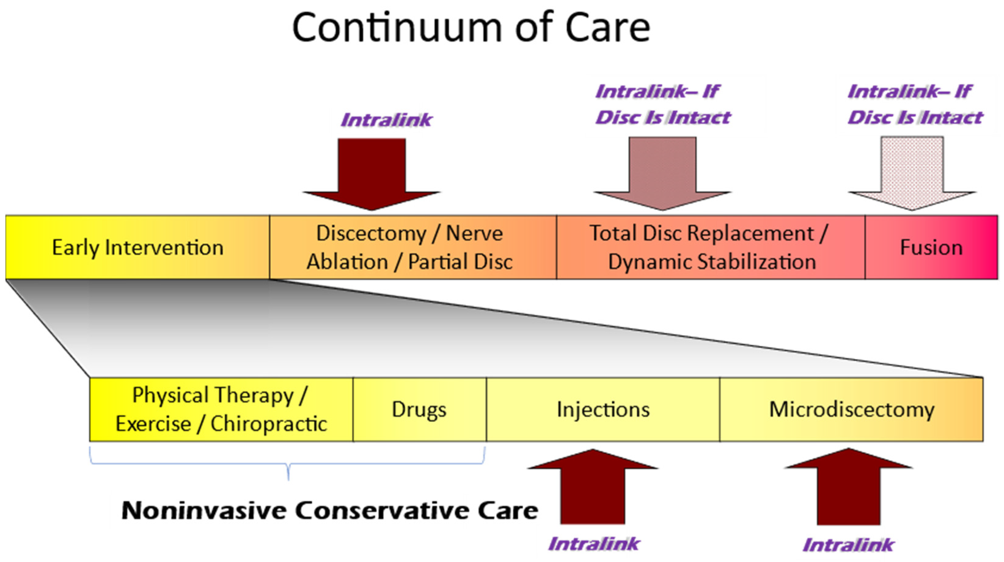 Bioengineering 11 00535 g007