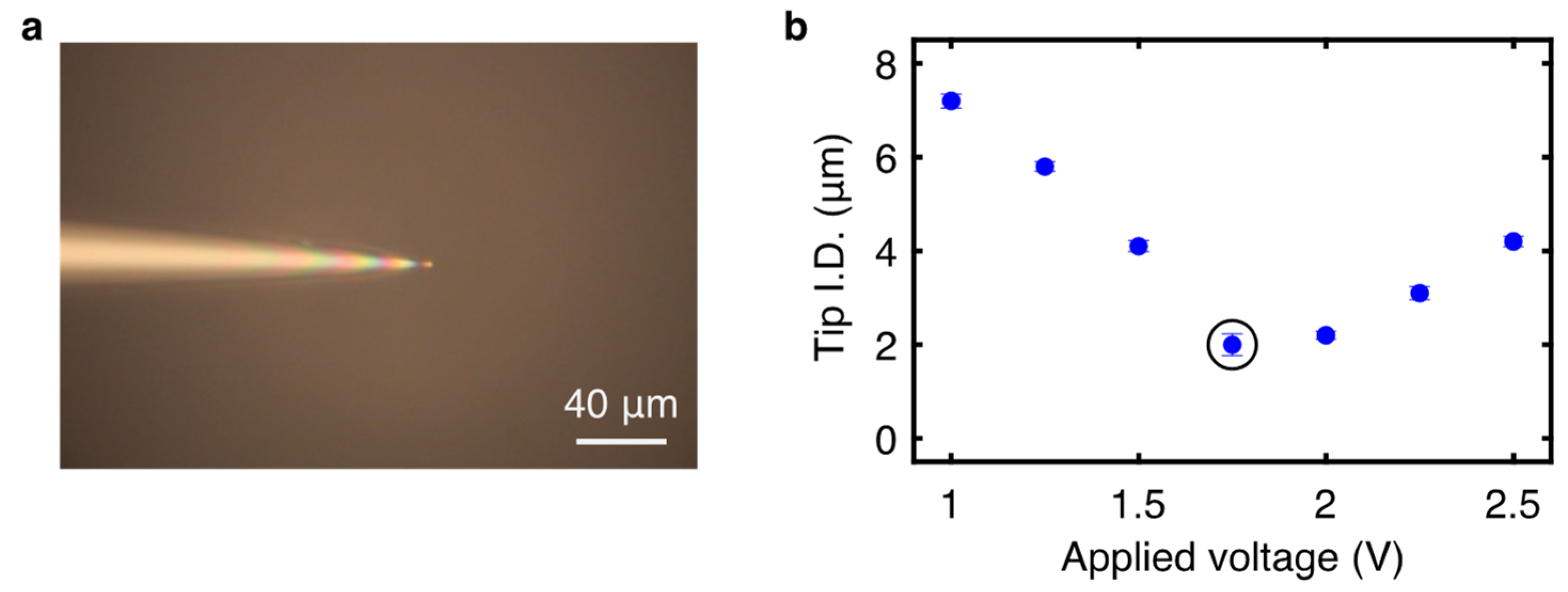 Bioengineering 11 00542 g002