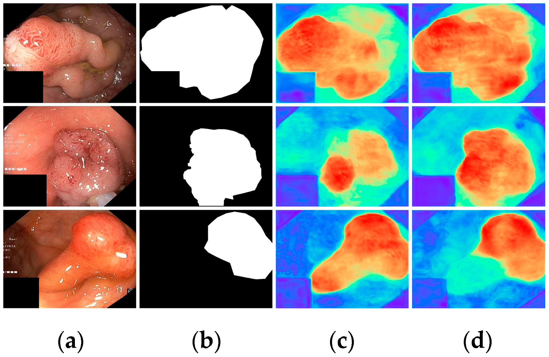 Bioengineering 11 00545 g009