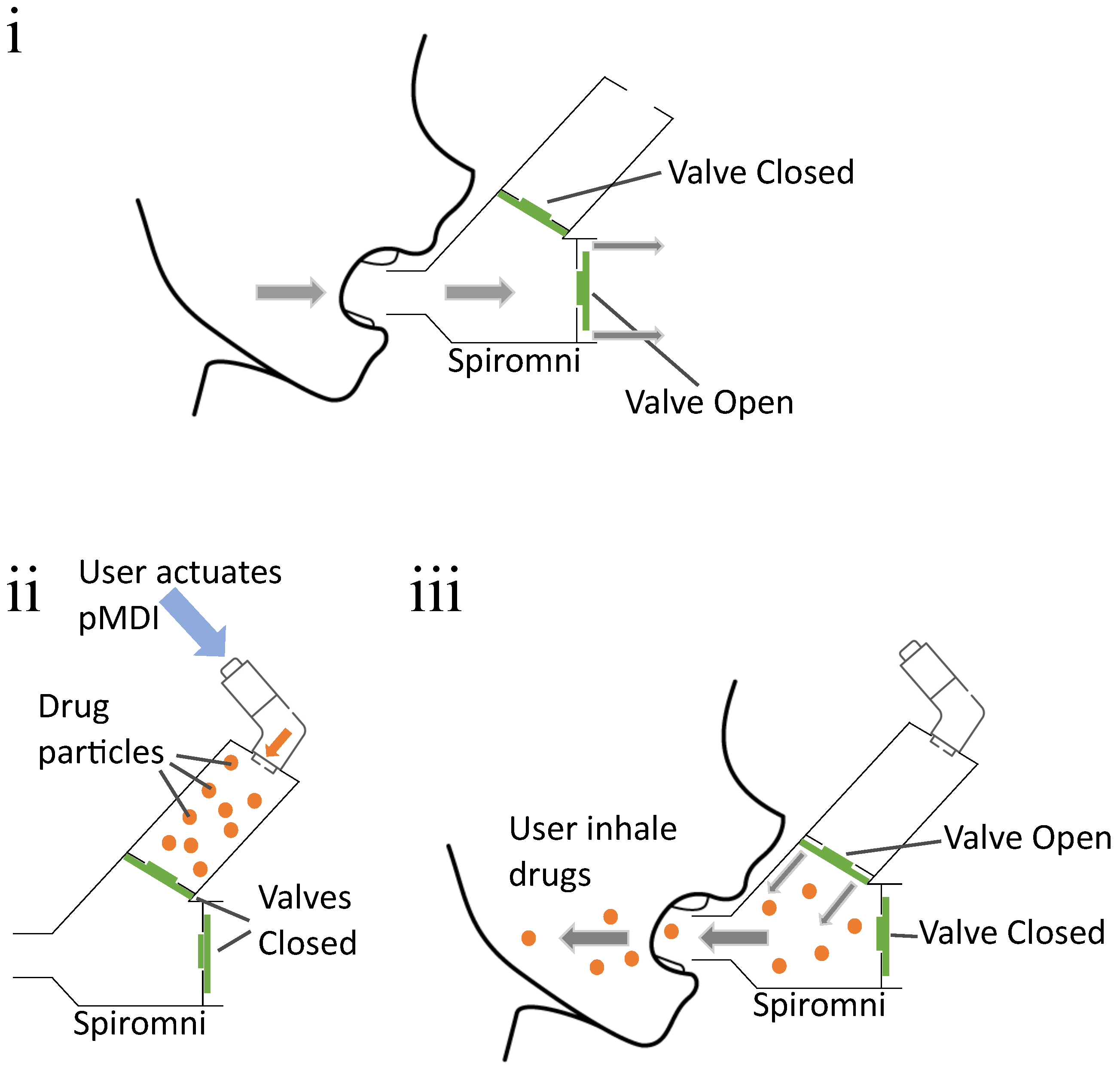 Bioengineering 11 00552 g002