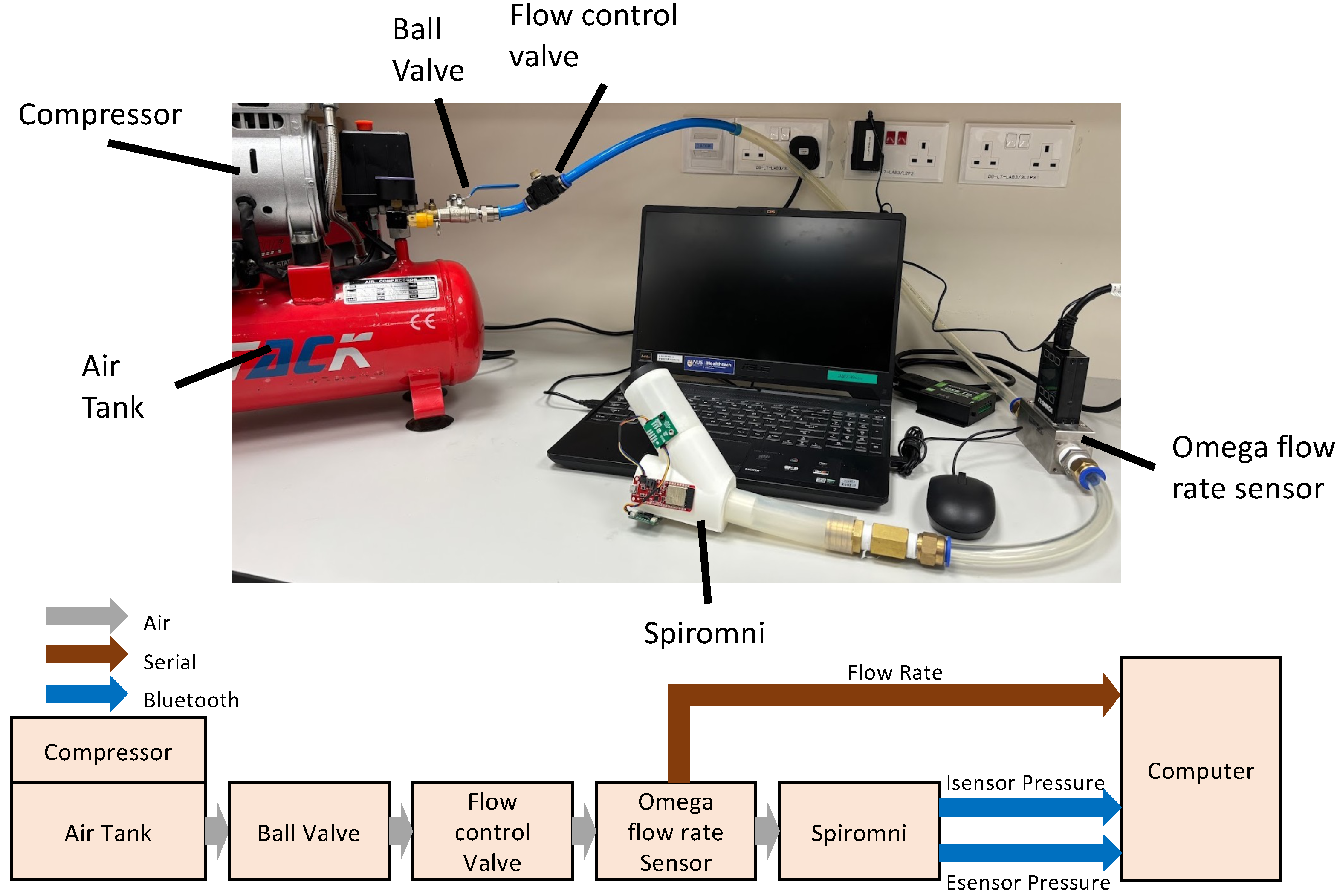 Bioengineering 11 00552 g003