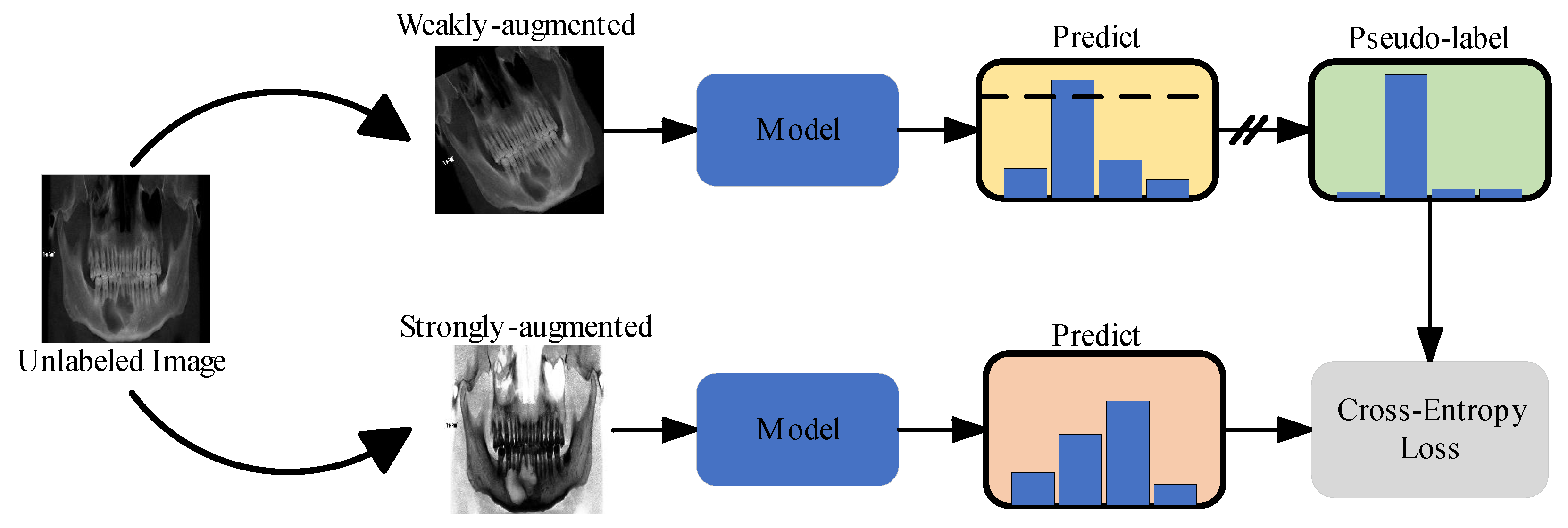 Bioengineering 11 00571 g004