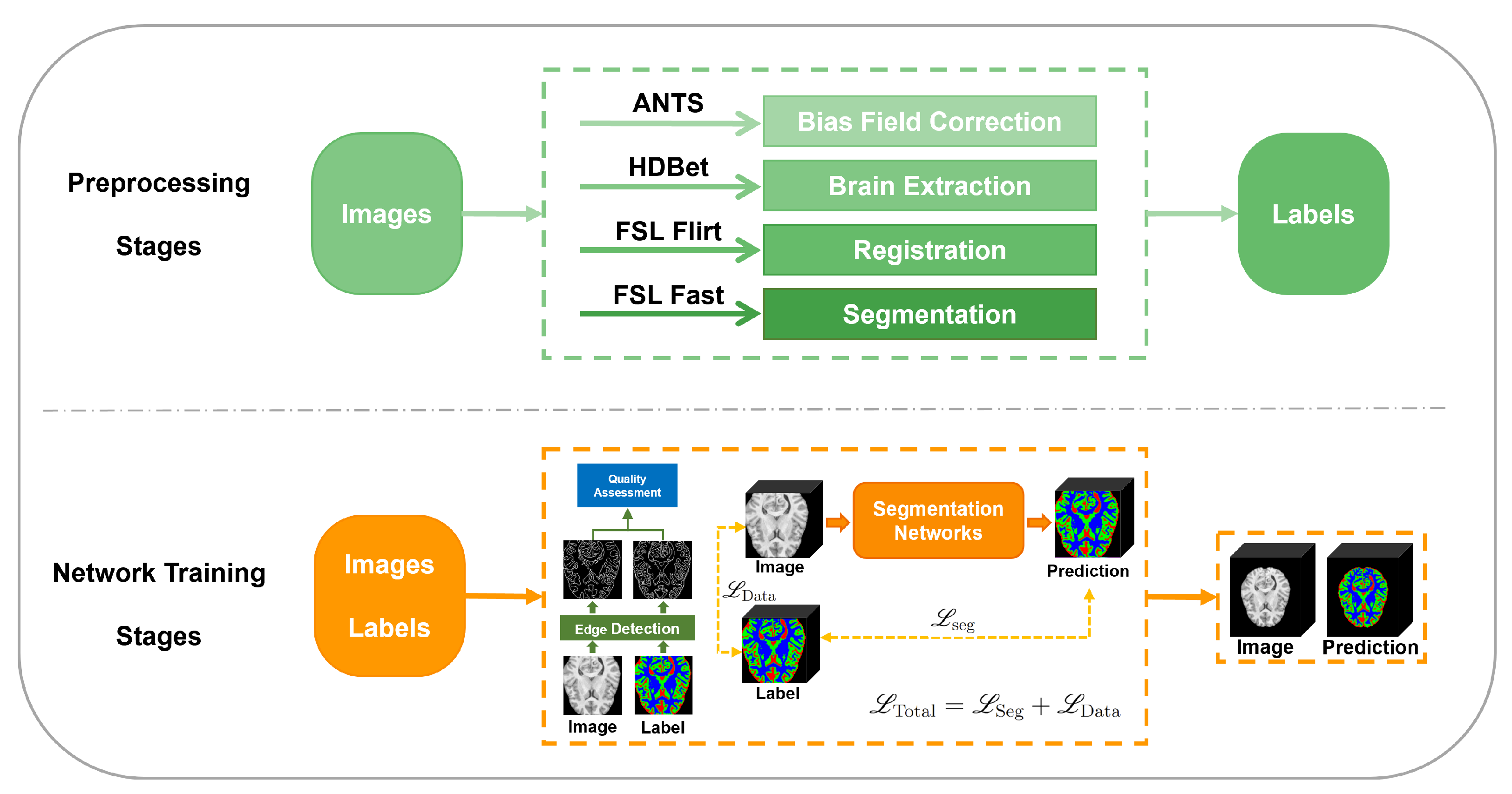 Bioengineering 11 00575 g001