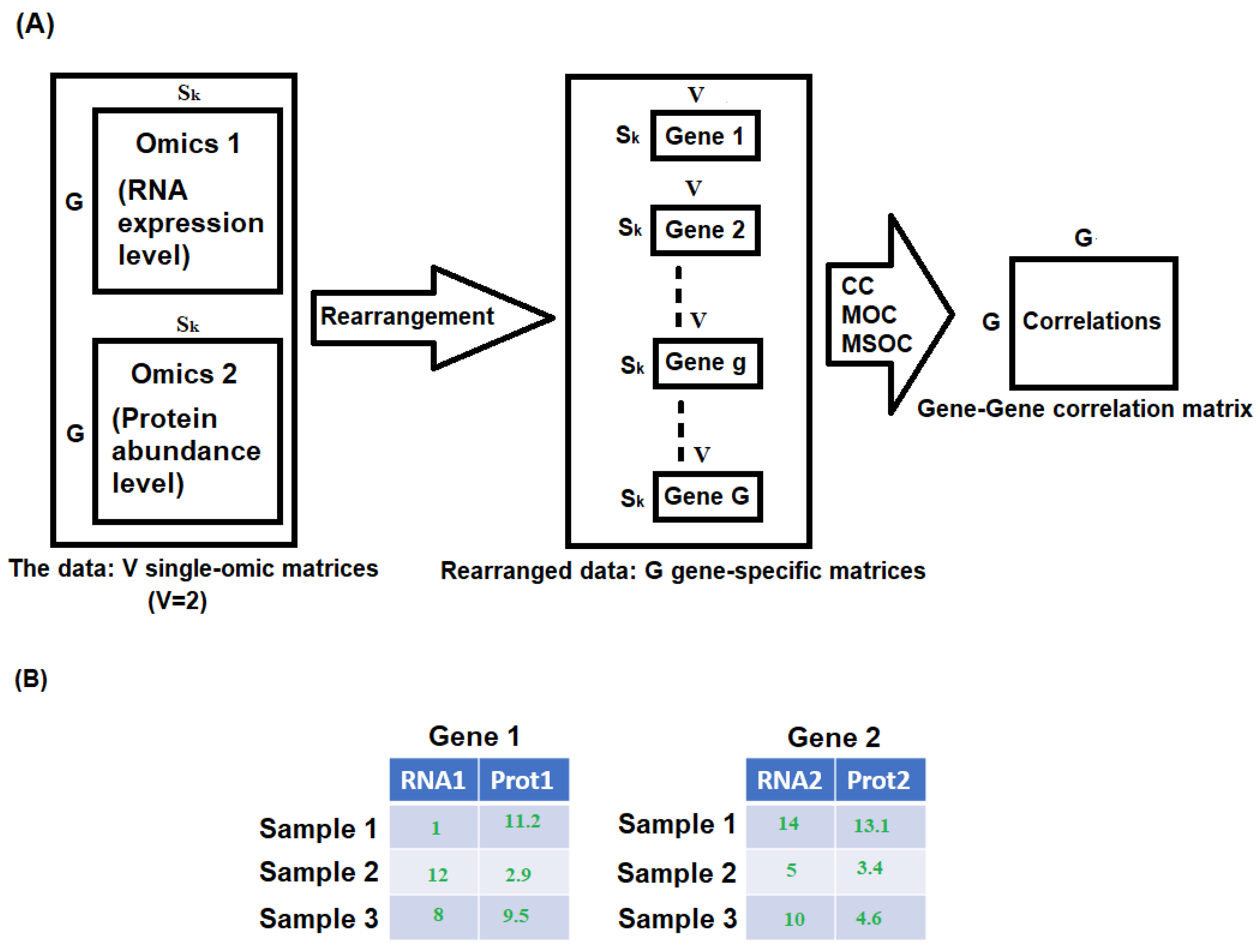 Bioengineering 11 00587 g001