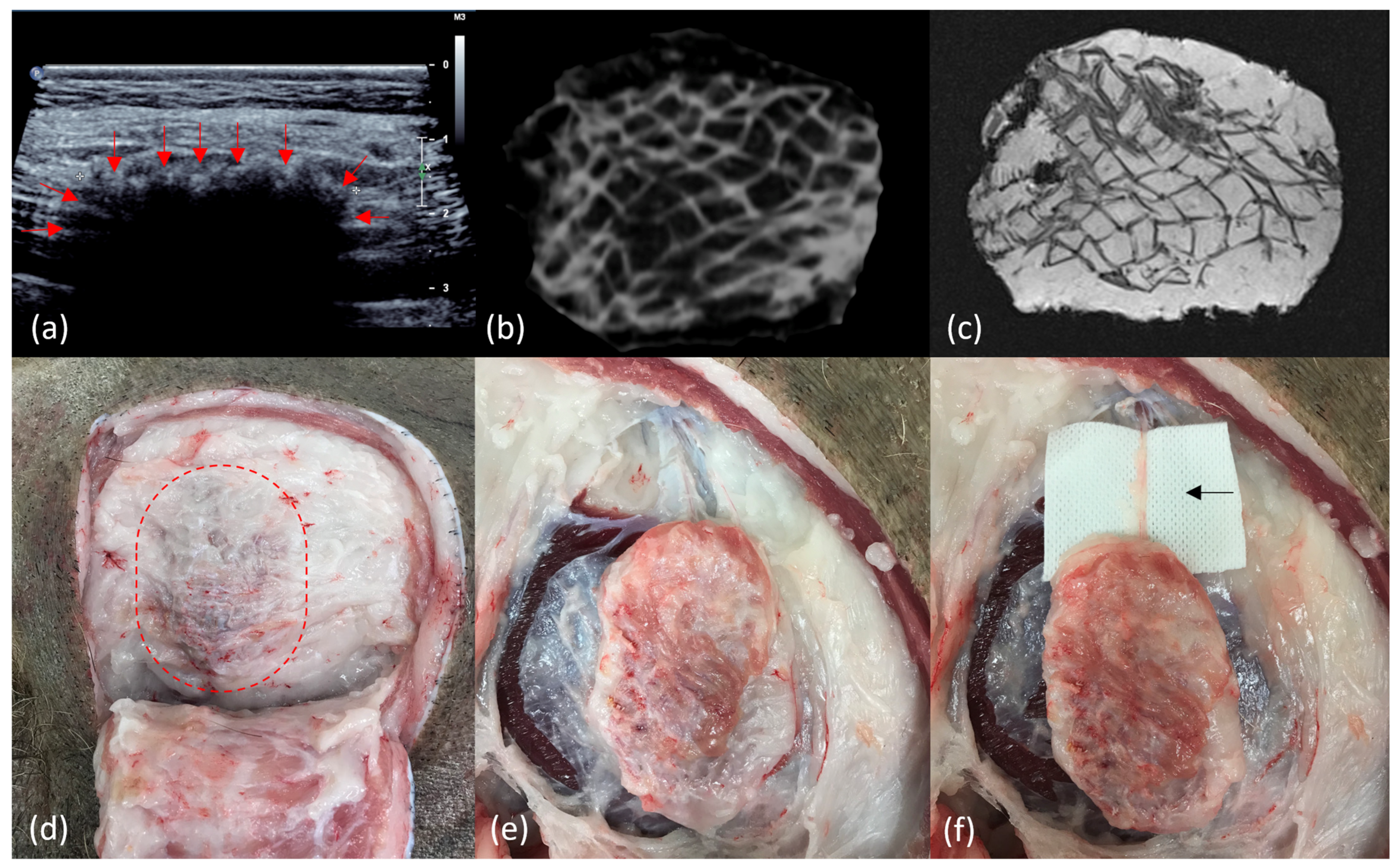 Bioengineering 11 00593 g003