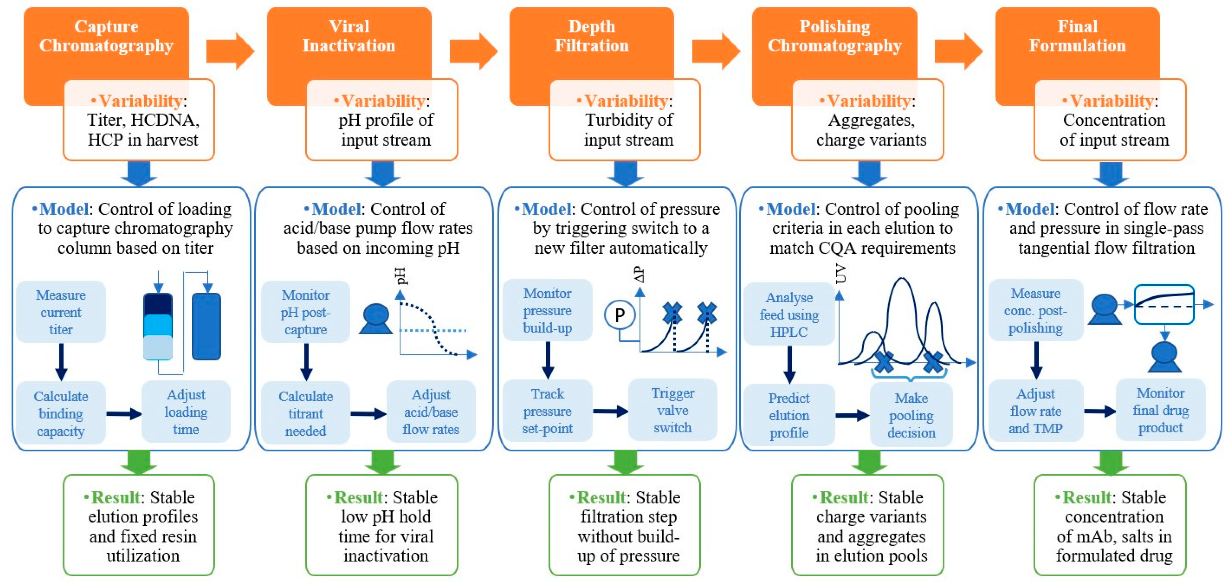 Bioengineering 11 00610 g007