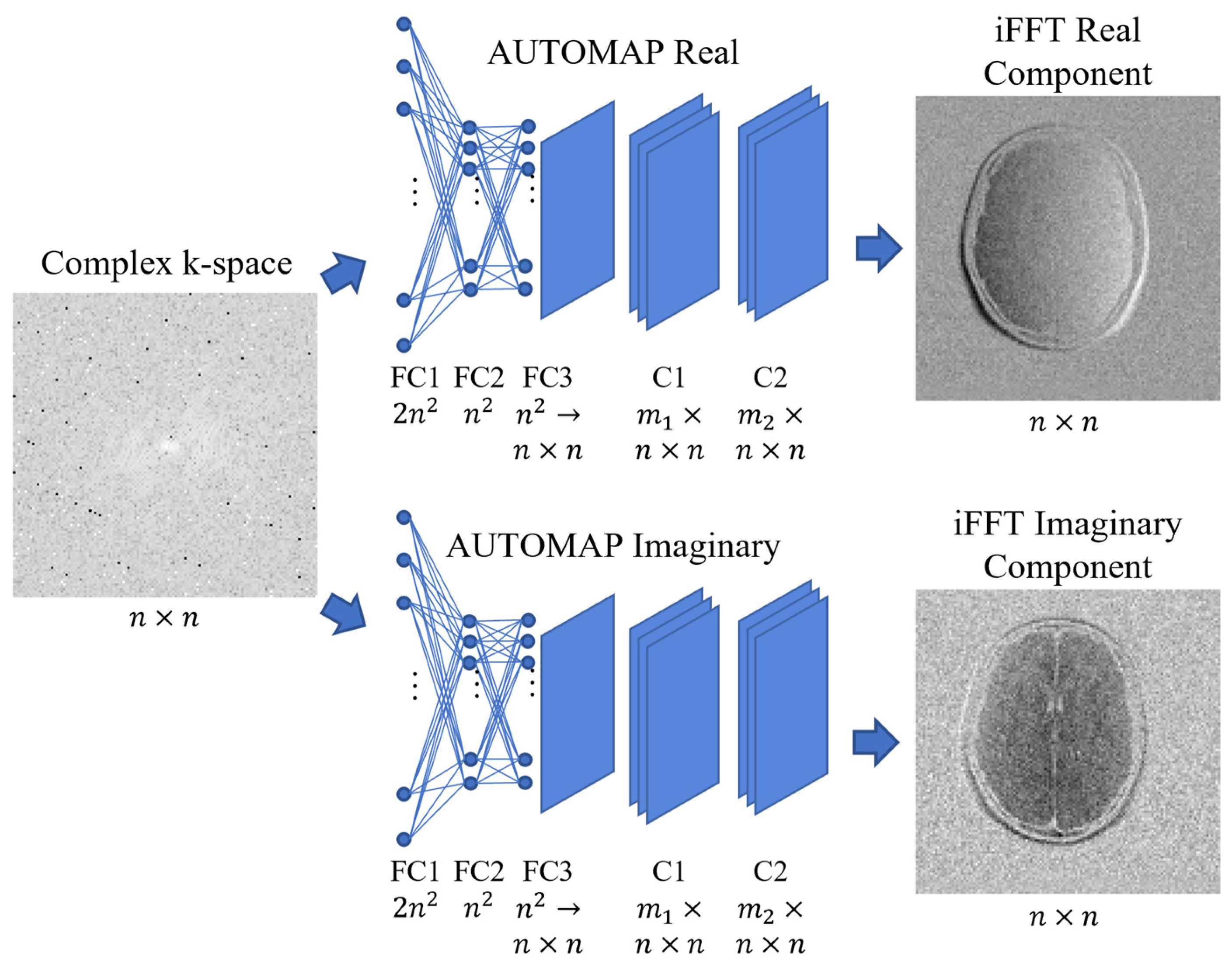 Bioengineering 11 00614 g003