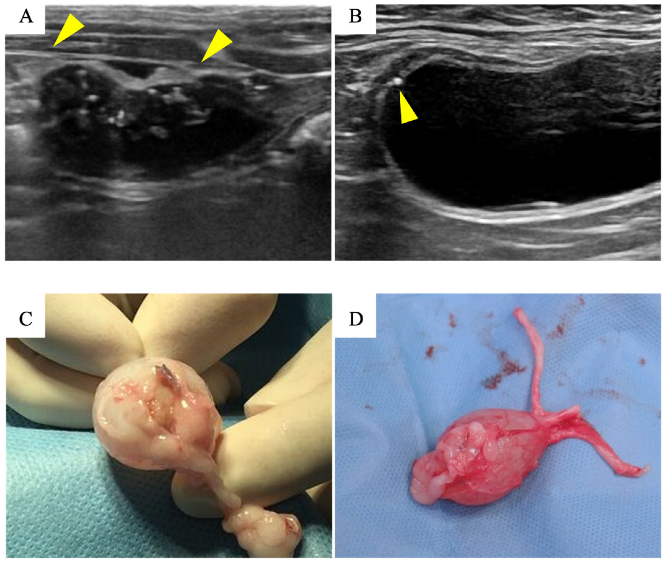 Bioengineering 11 00615 g003