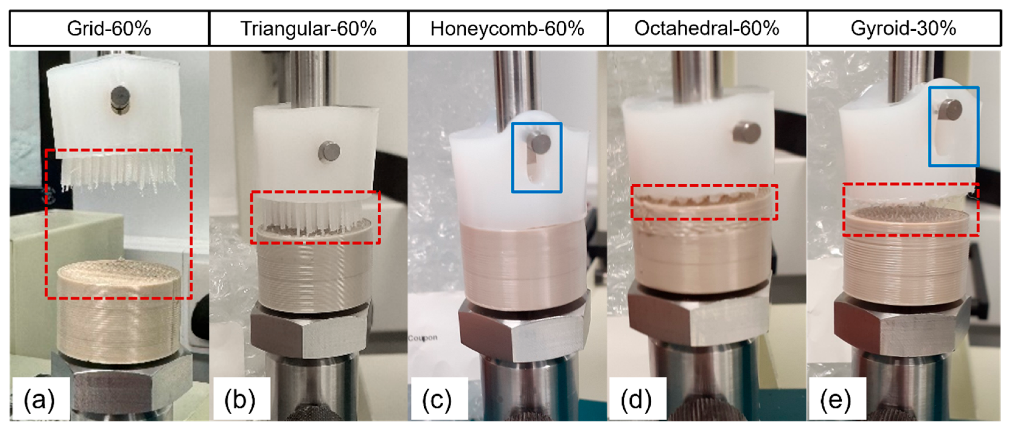 Bioengineering 11 00616 g004