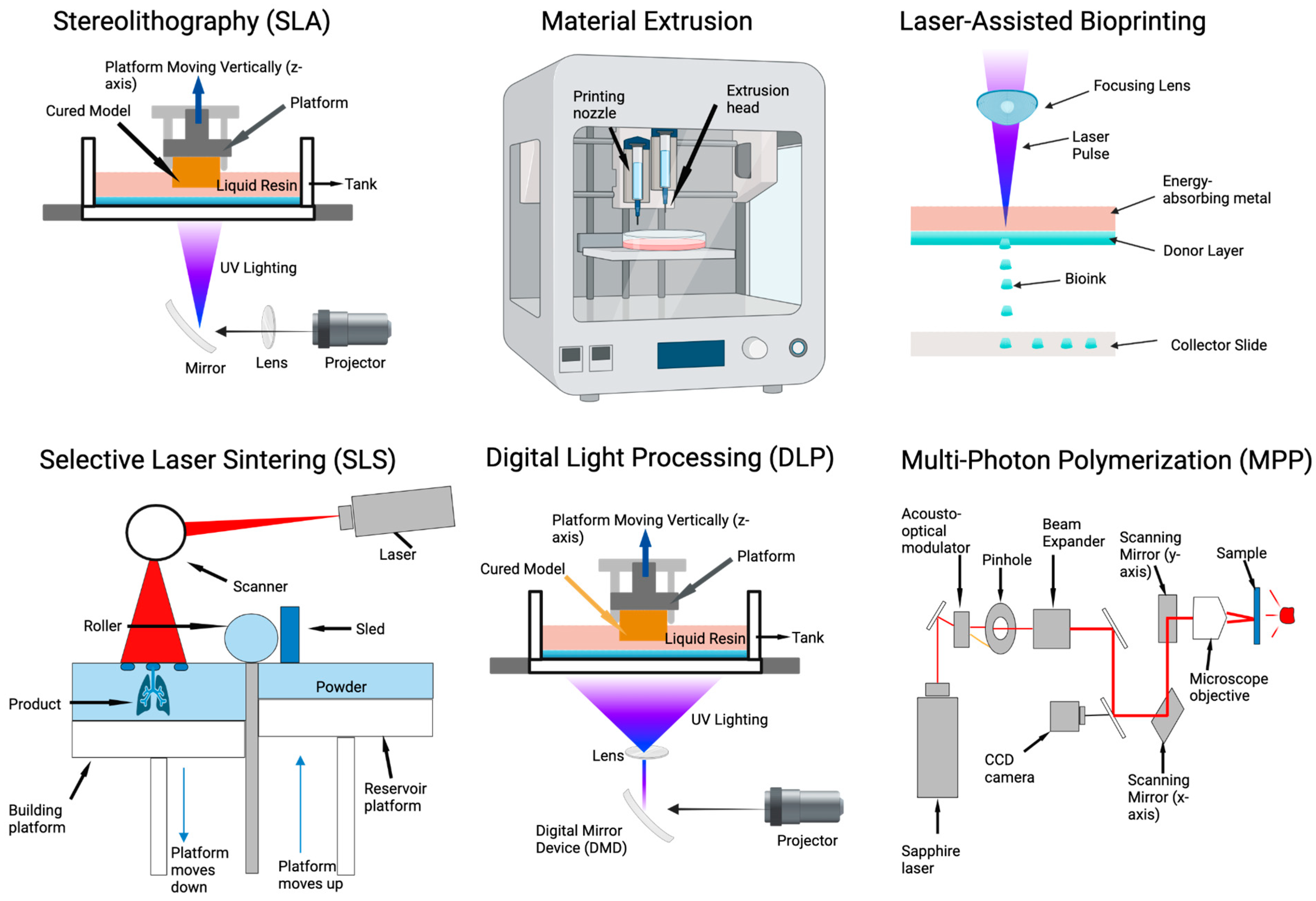 Bioengineering 11 00619 g003