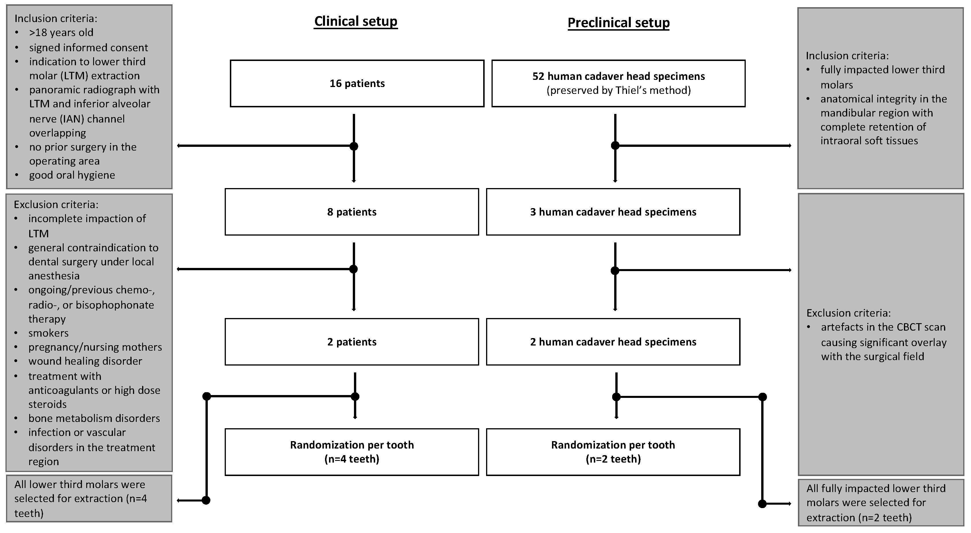 Bioengineering 11 00625 g001