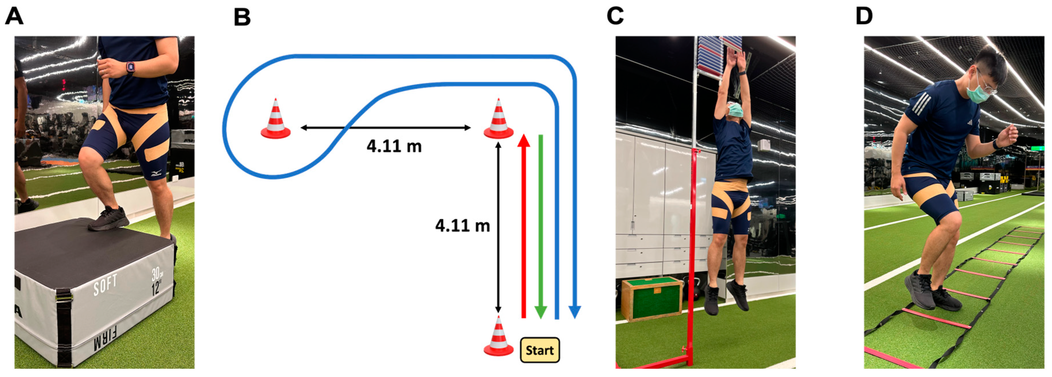 Bioengineering 11 00631 g002 Bioengineering 11 00631 g002