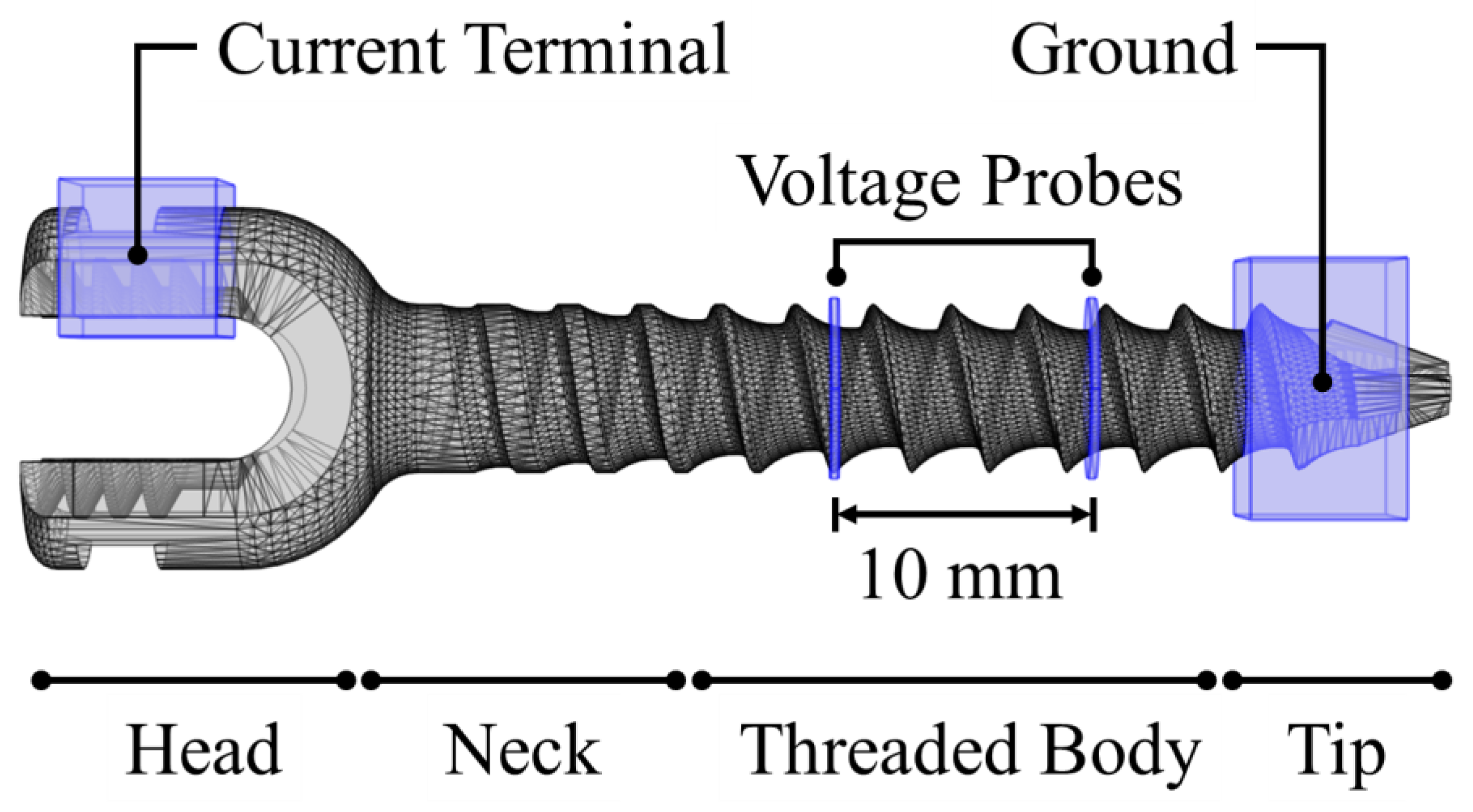 Bioengineering 11 00634 g002 Bioengineering 11 00634 g002