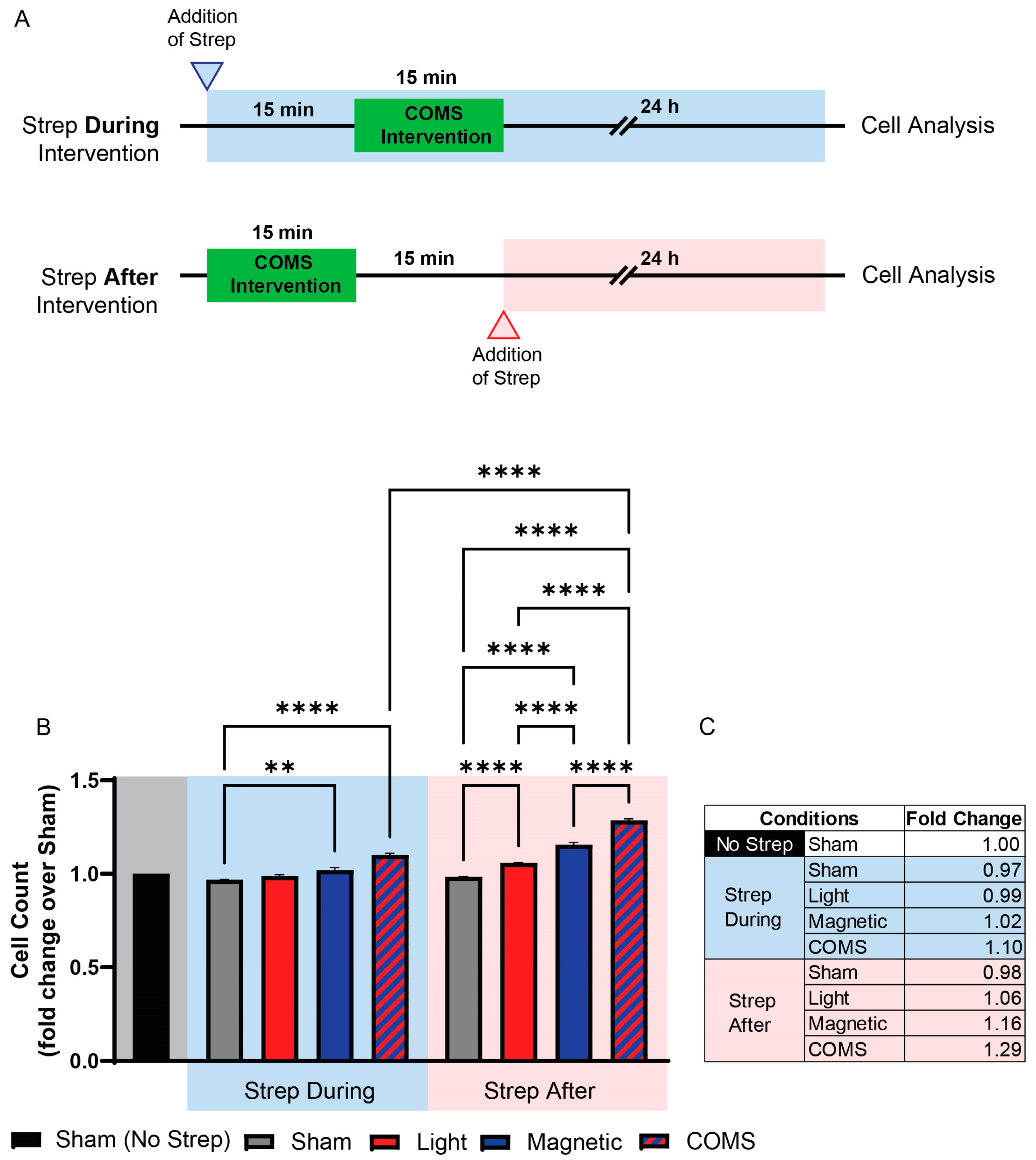 Bioengineering 11 00637 g002