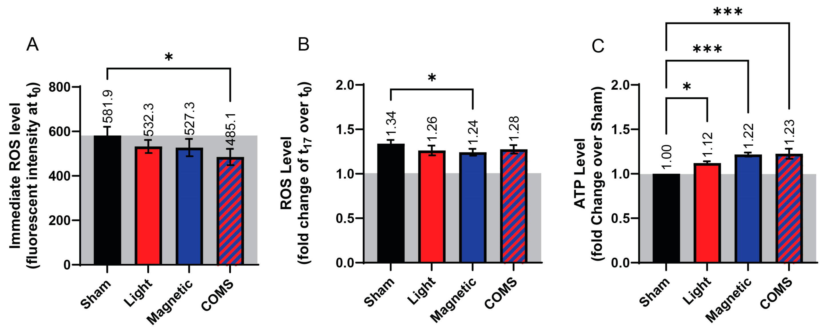 Bioengineering 11 00637 g004
