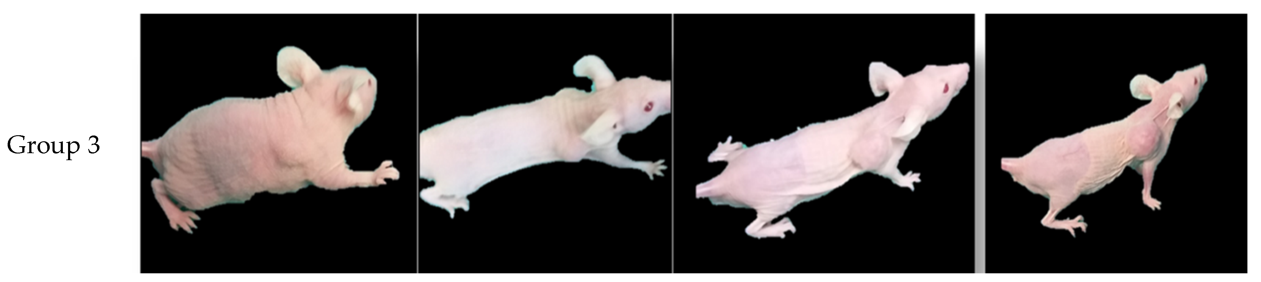 Bioengineering 11 00638 g008b