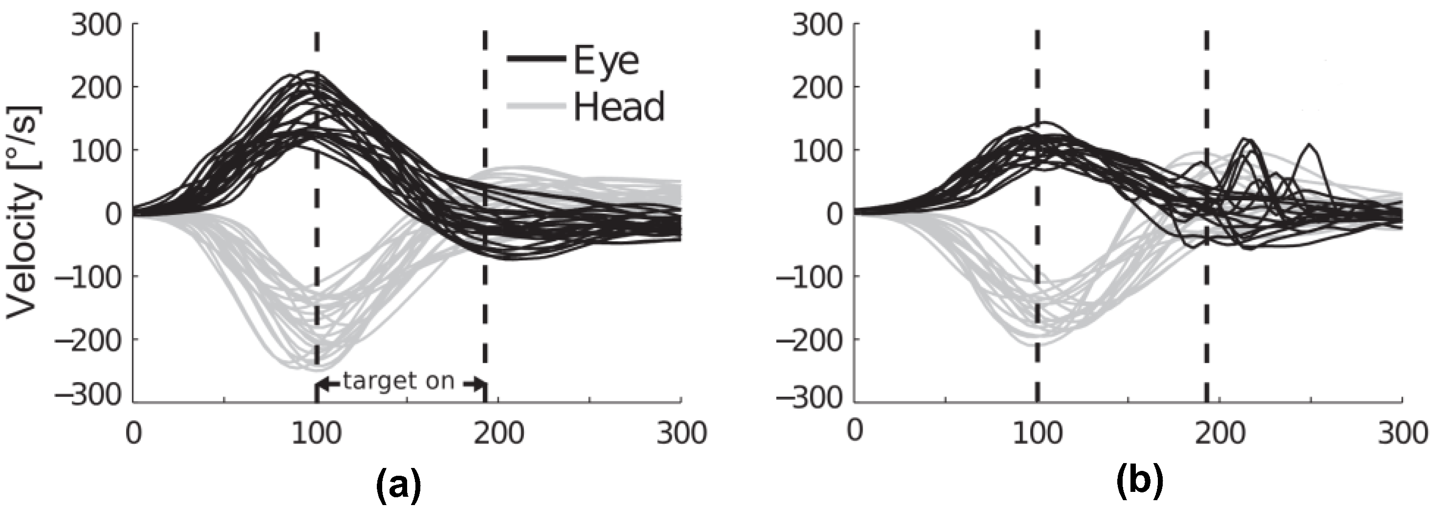 Bioengineering | Free Full-Text | Exploring the Potentials of Wearable  Technologies in Managing Vestibular Hypofunction