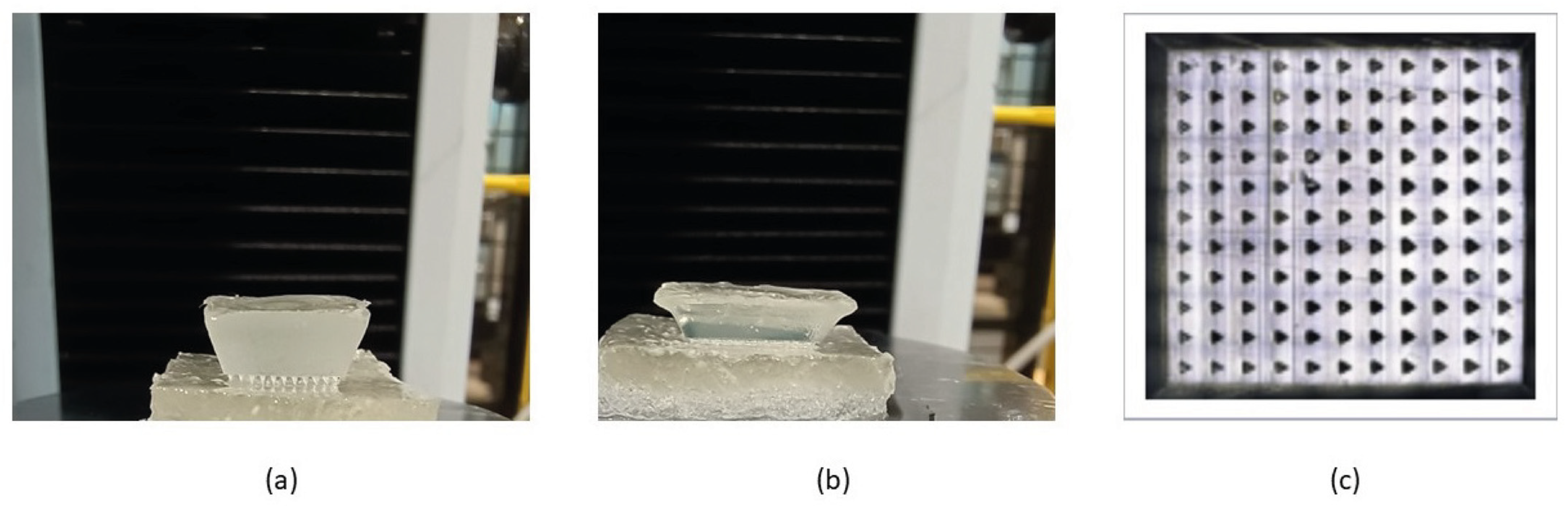 Bioengineering 11 00649 g003