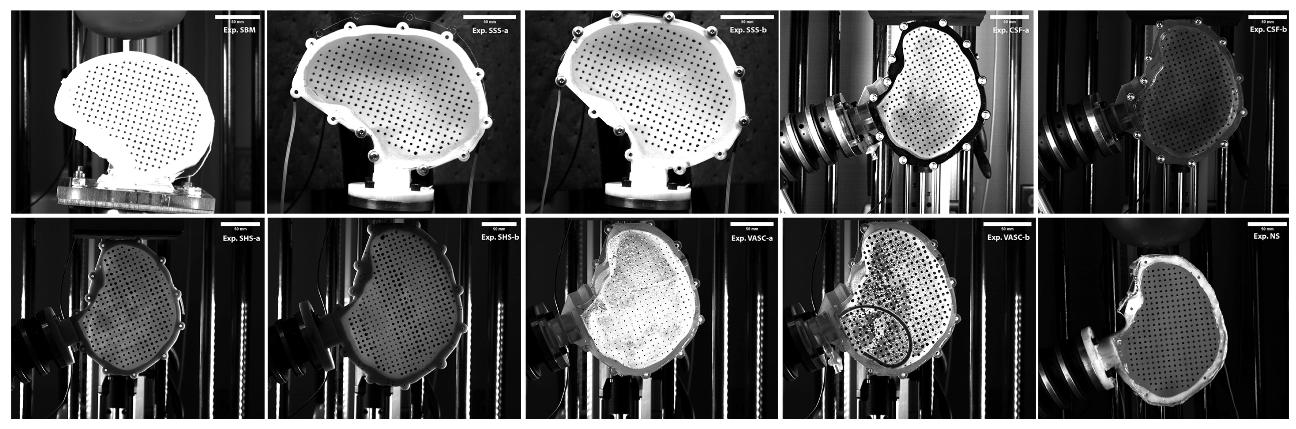 Bioengineering 11 00650 g001 Bioengineering 11 00650 g001