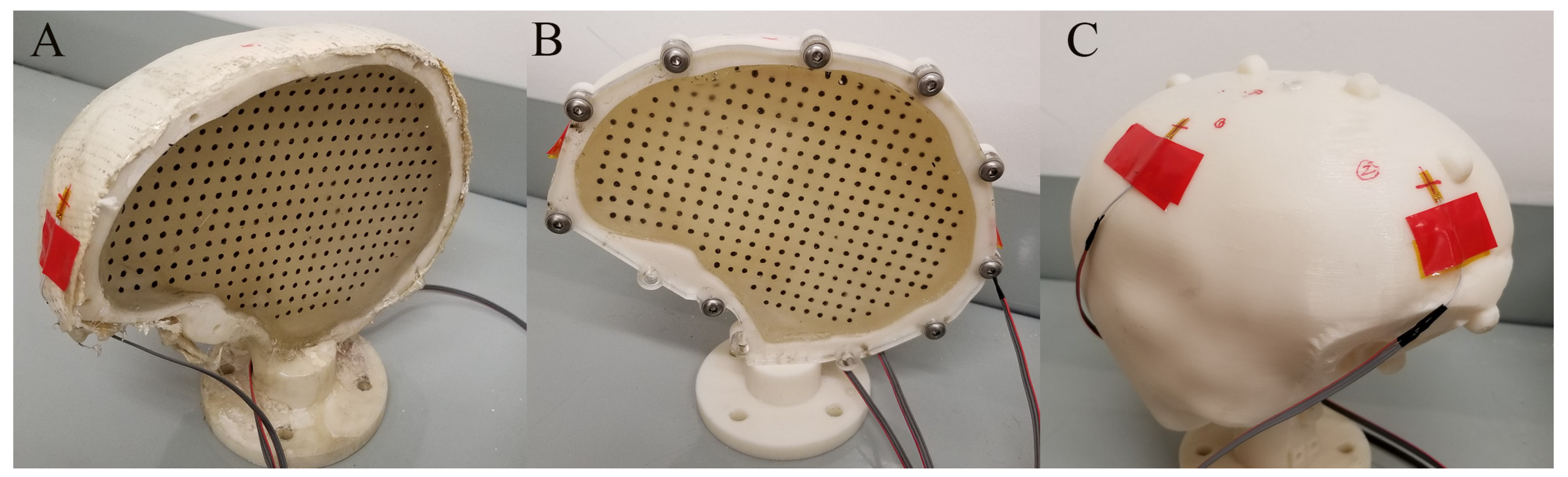 Bioengineering 11 00650 g002 Bioengineering 11 00650 g002