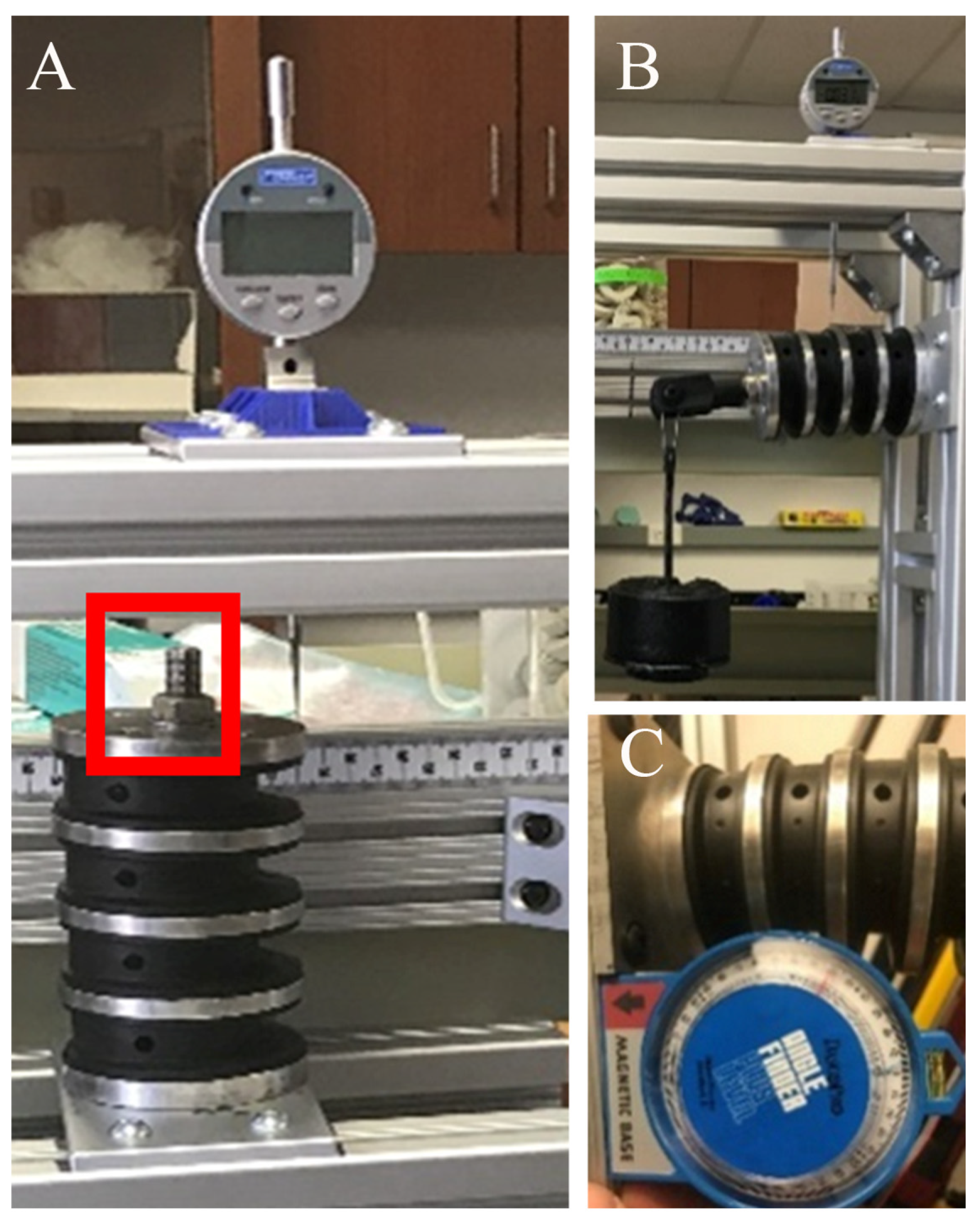 Bioengineering 11 00650 g003 Bioengineering 11 00650 g003