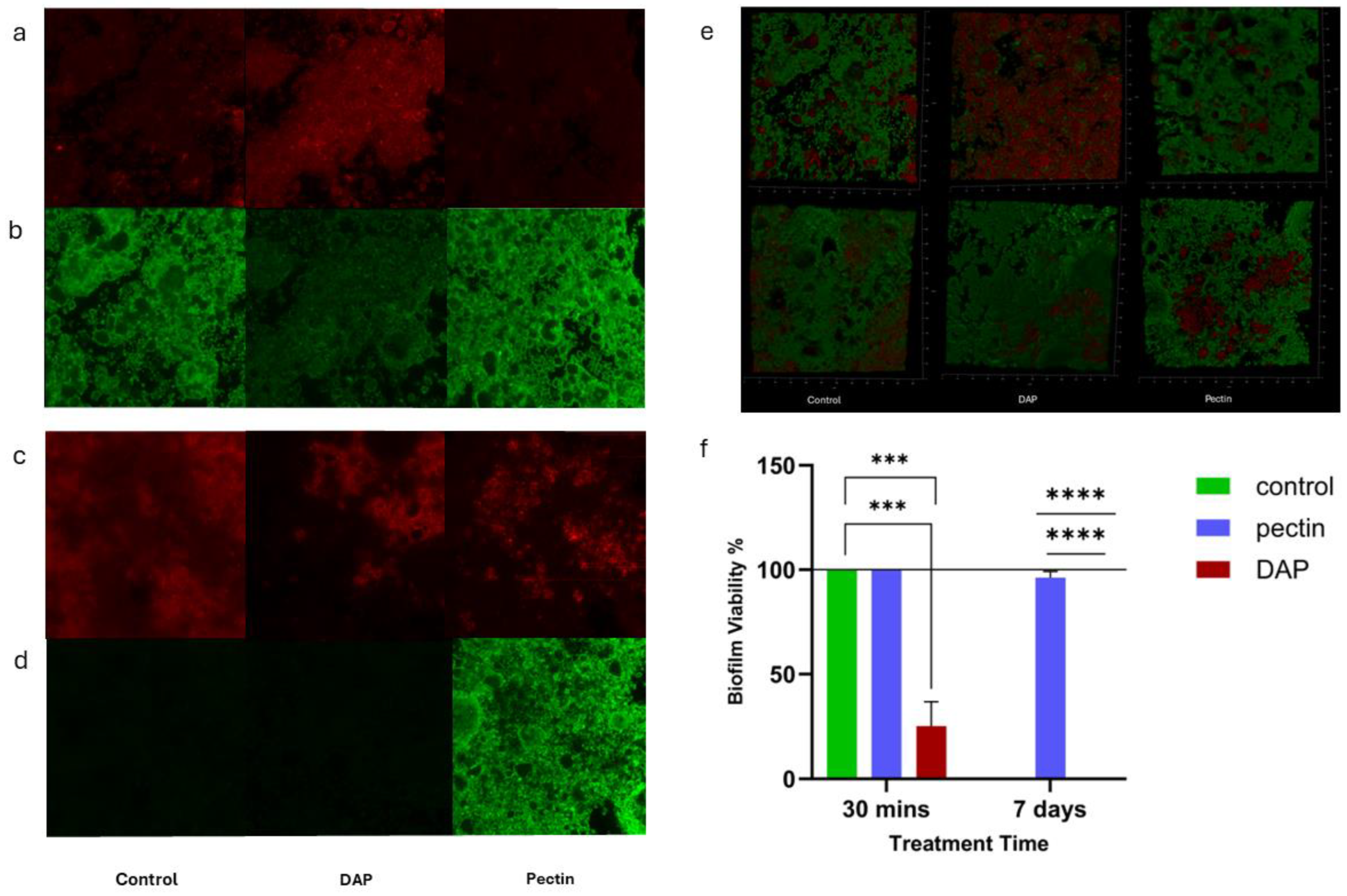 Bioengineering 11 00653 g002