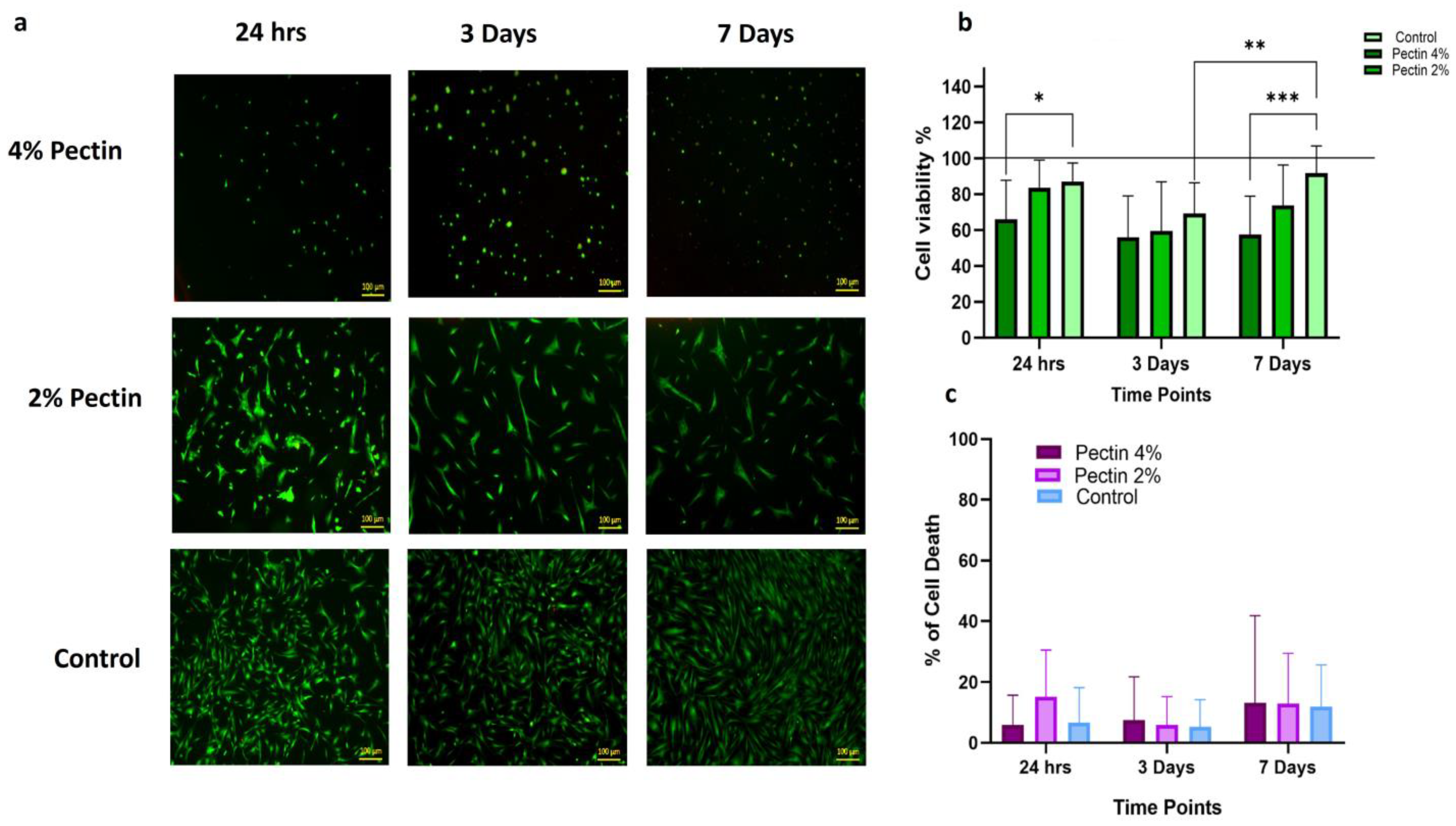 Bioengineering 11 00653 g003