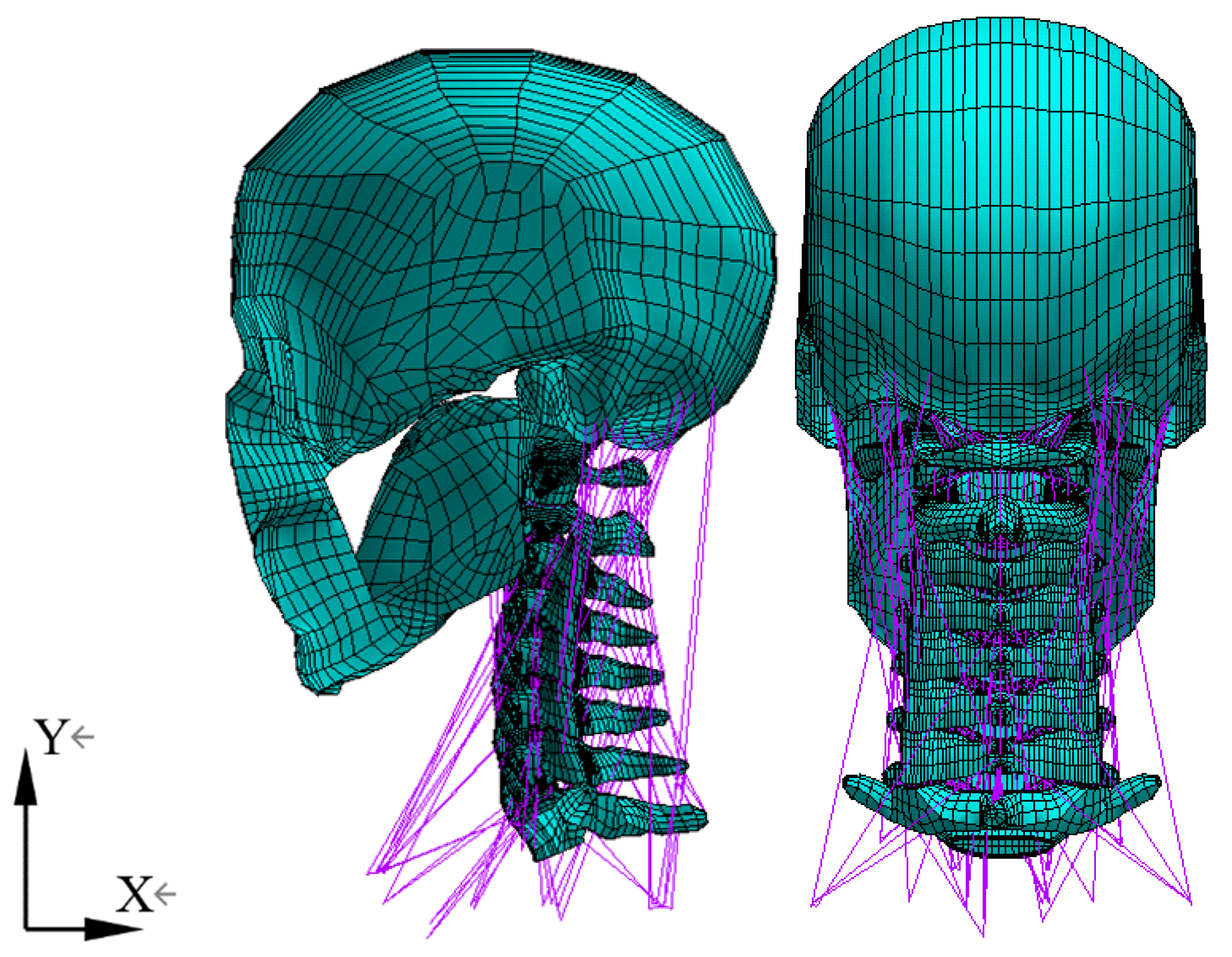Bioengineering 11 00655 g001 Bioengineering 11 00655 g001