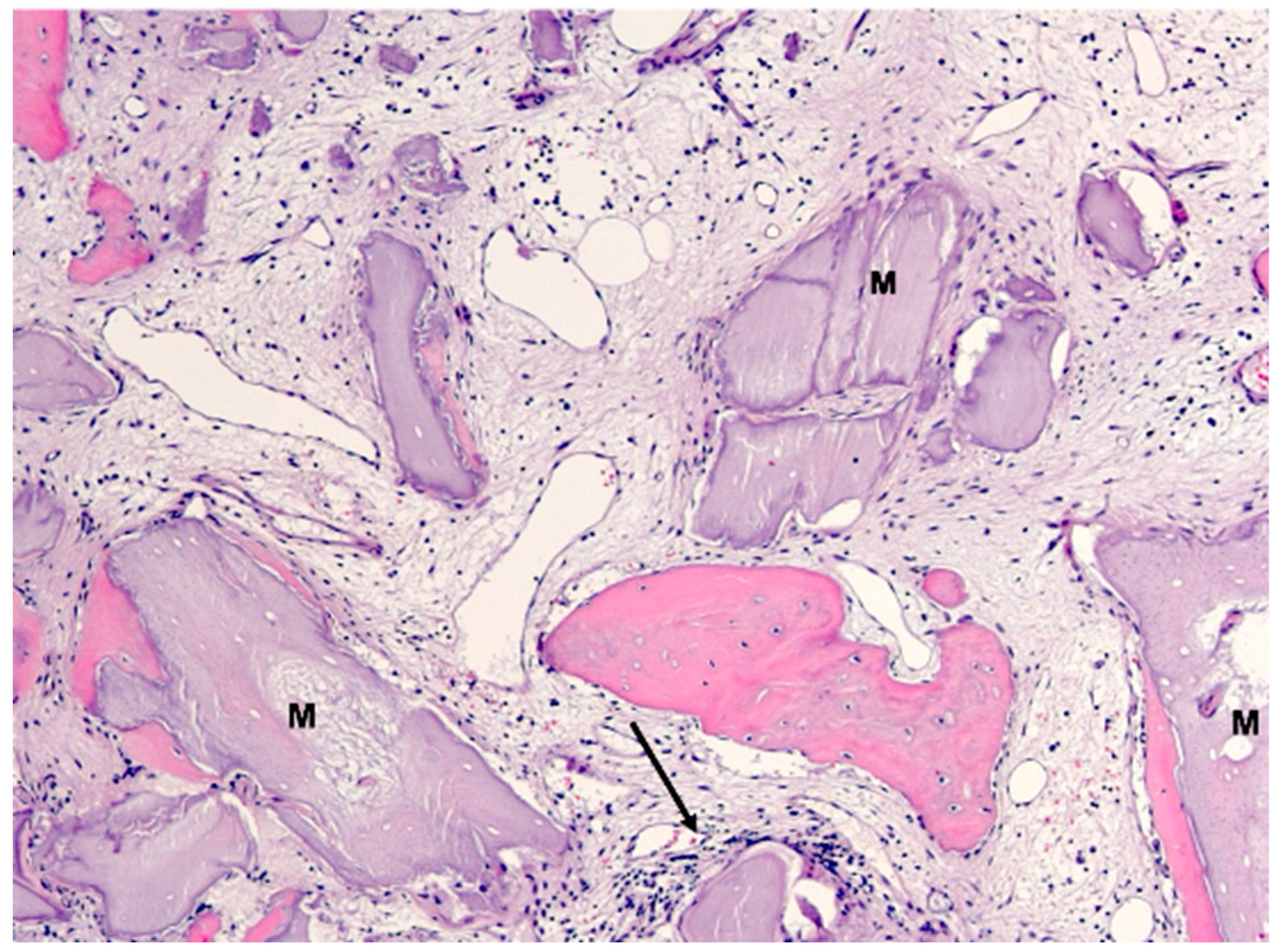 Bioengineering 11 00665 g014