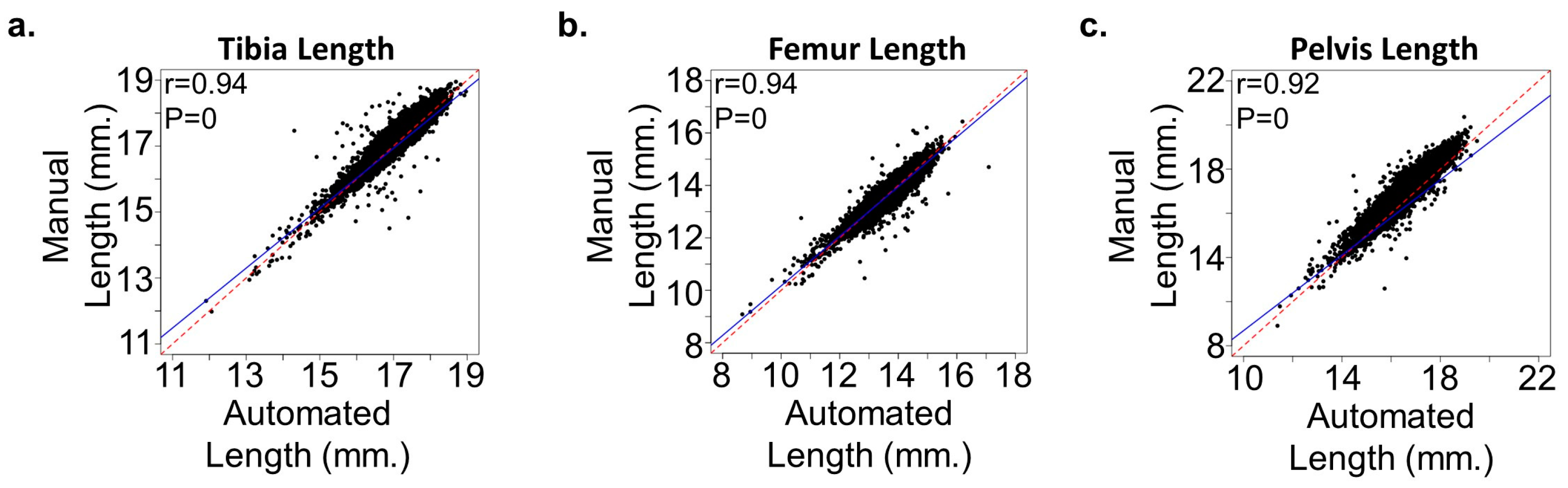 Bioengineering 11 00670 g003