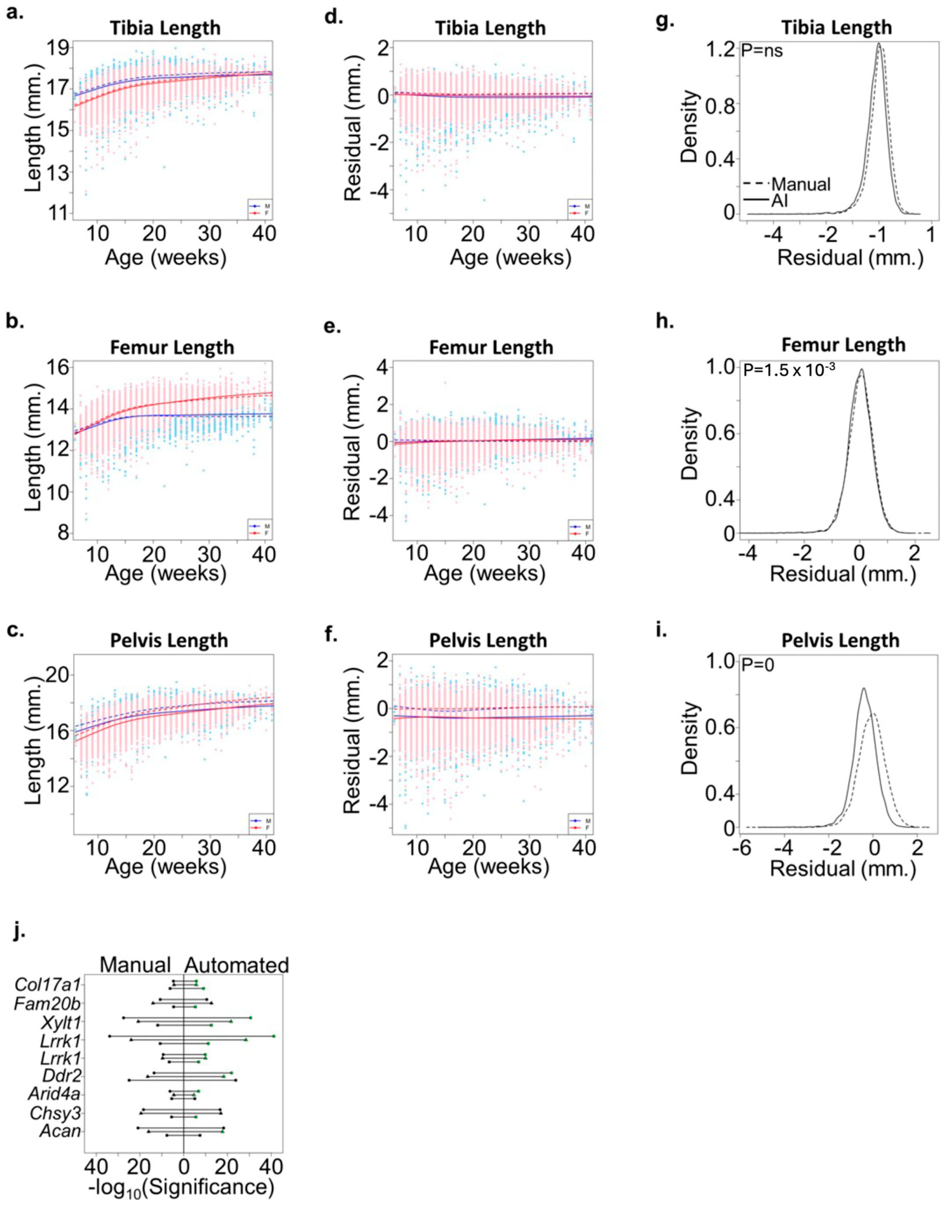 Bioengineering 11 00670 g004