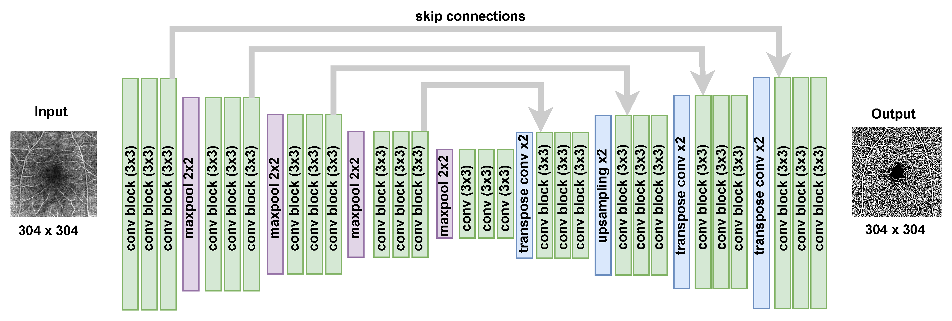Bioengineering 11 00682 g003