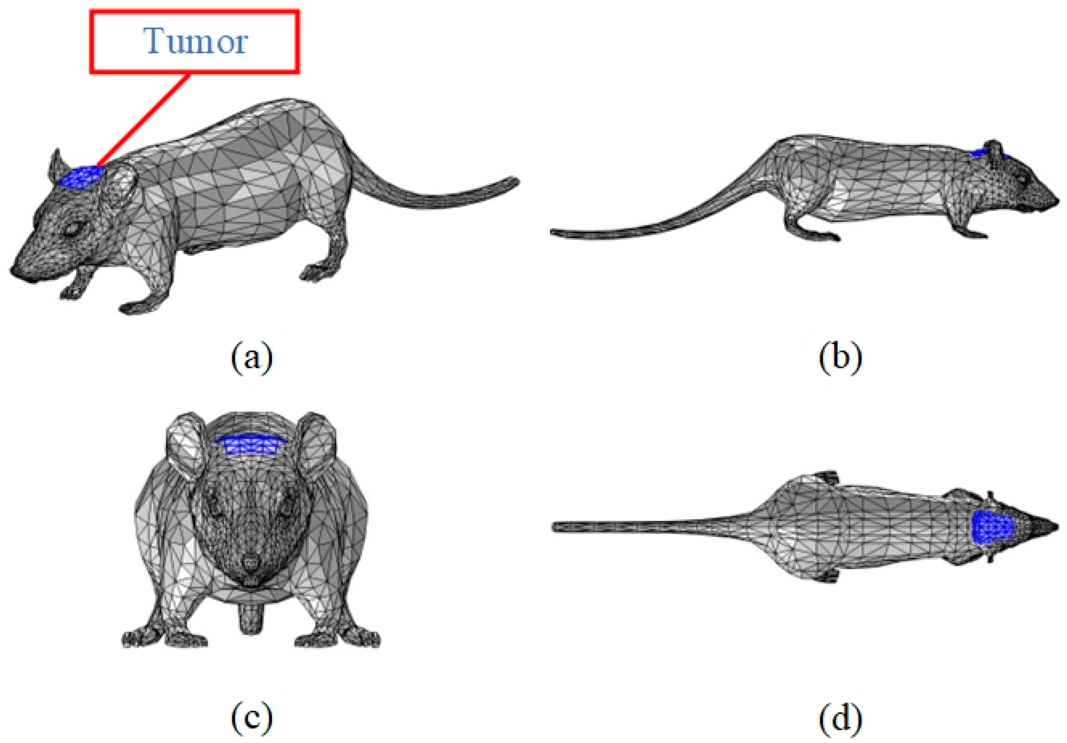 Bioengineering 11 00694 g001 Bioengineering 11 00694 g001