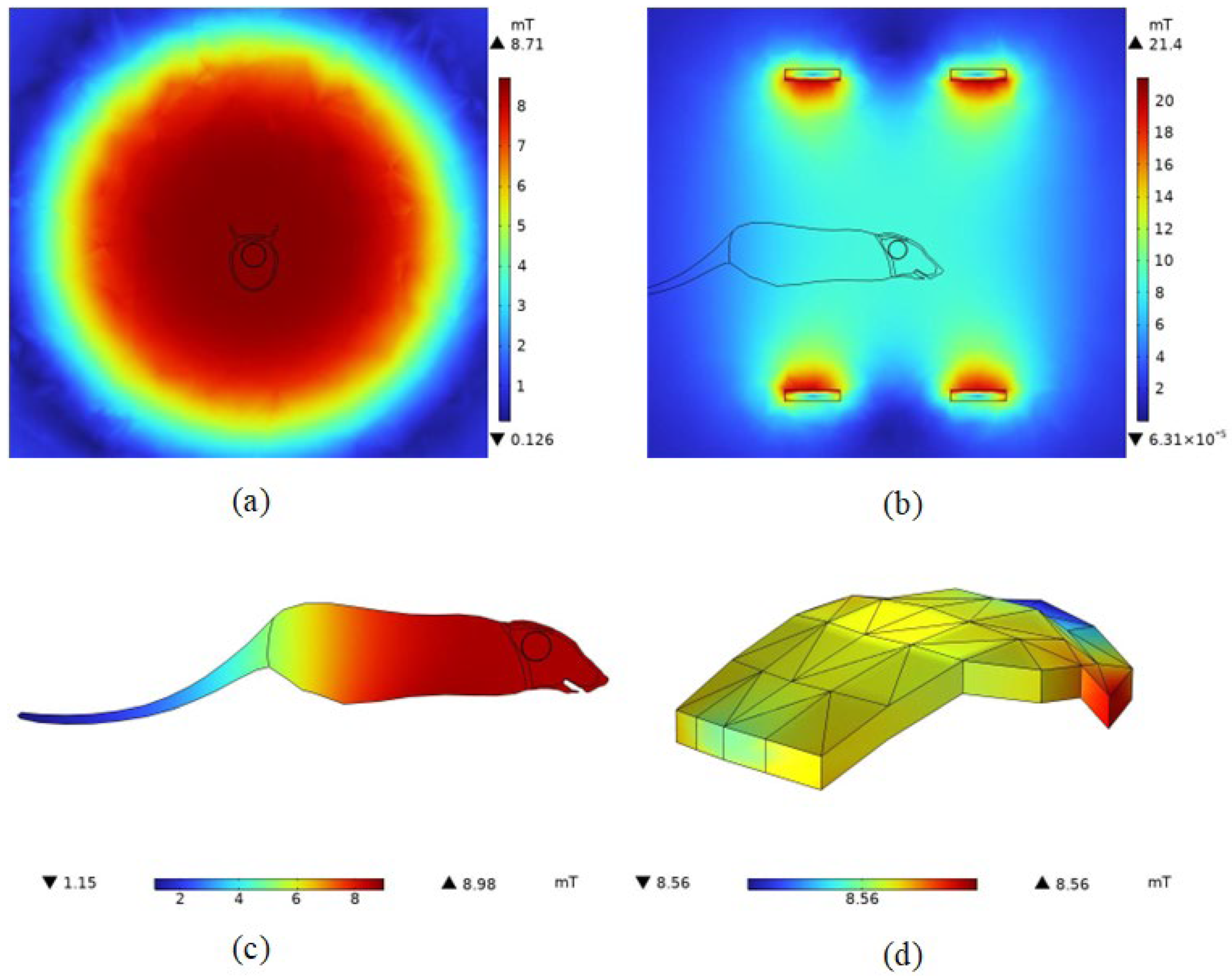 Bioengineering 11 00694 g005 Bioengineering 11 00694 g005