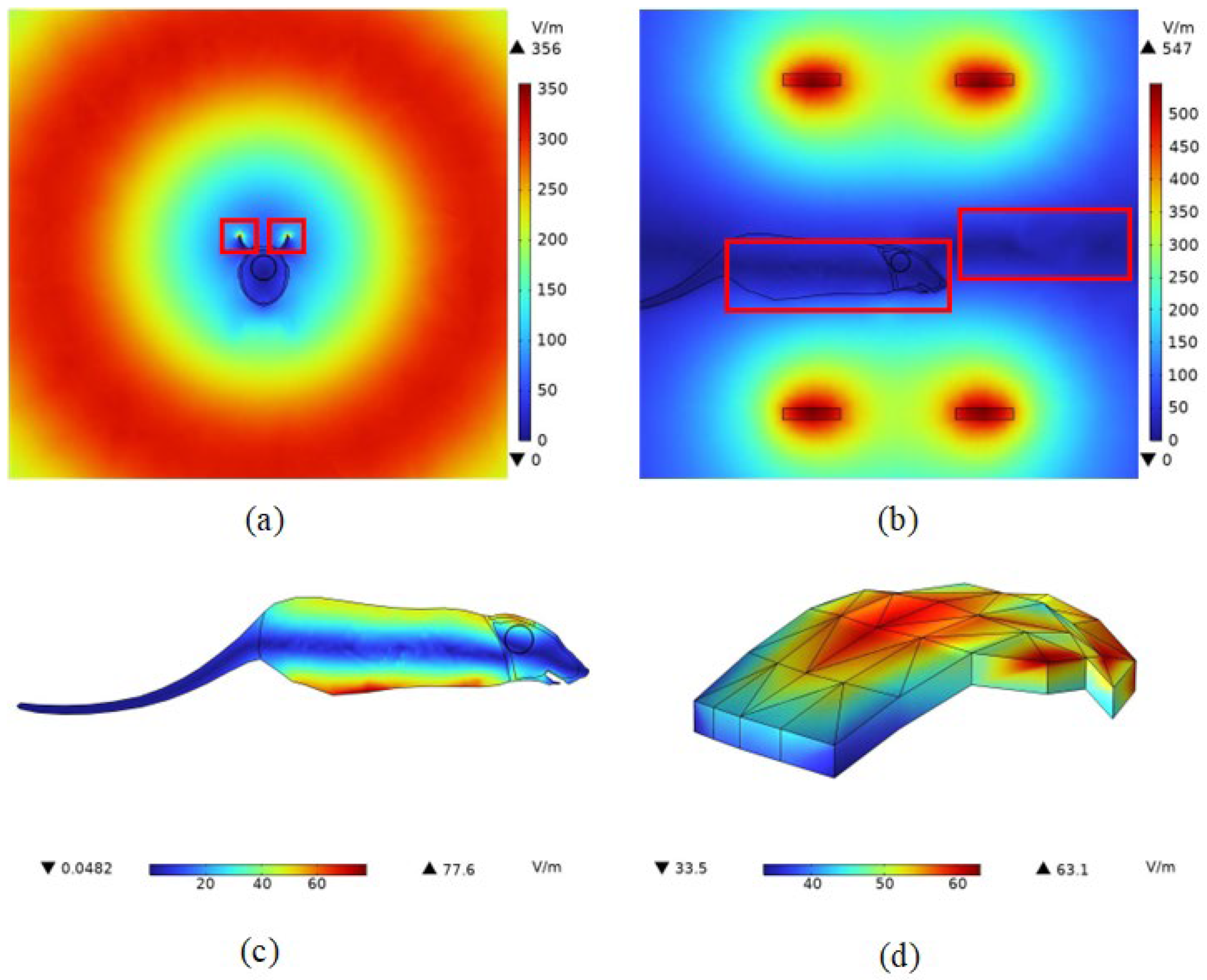 Bioengineering 11 00694 g006 Bioengineering 11 00694 g006