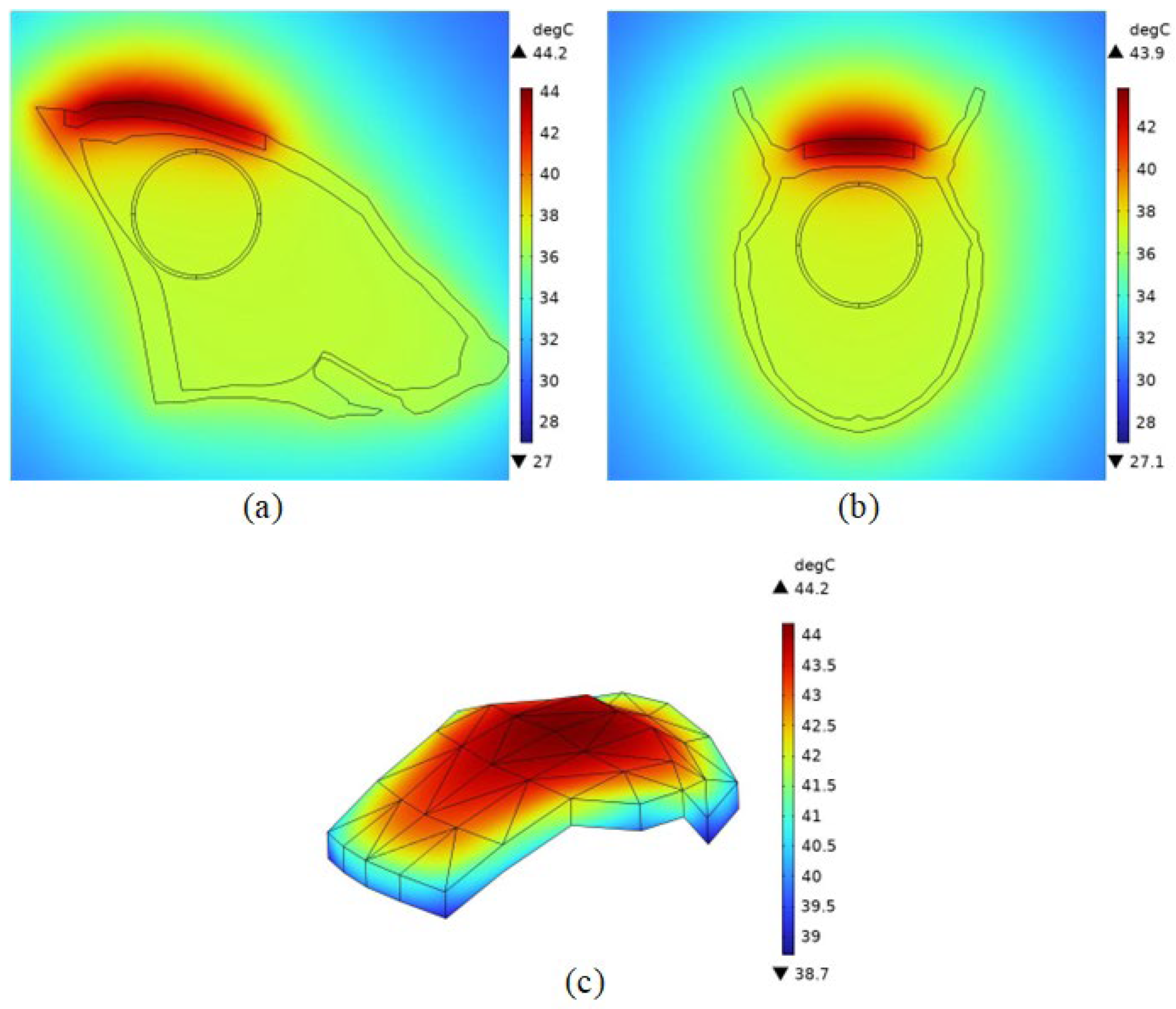 Bioengineering 11 00694 g007 Bioengineering 11 00694 g007